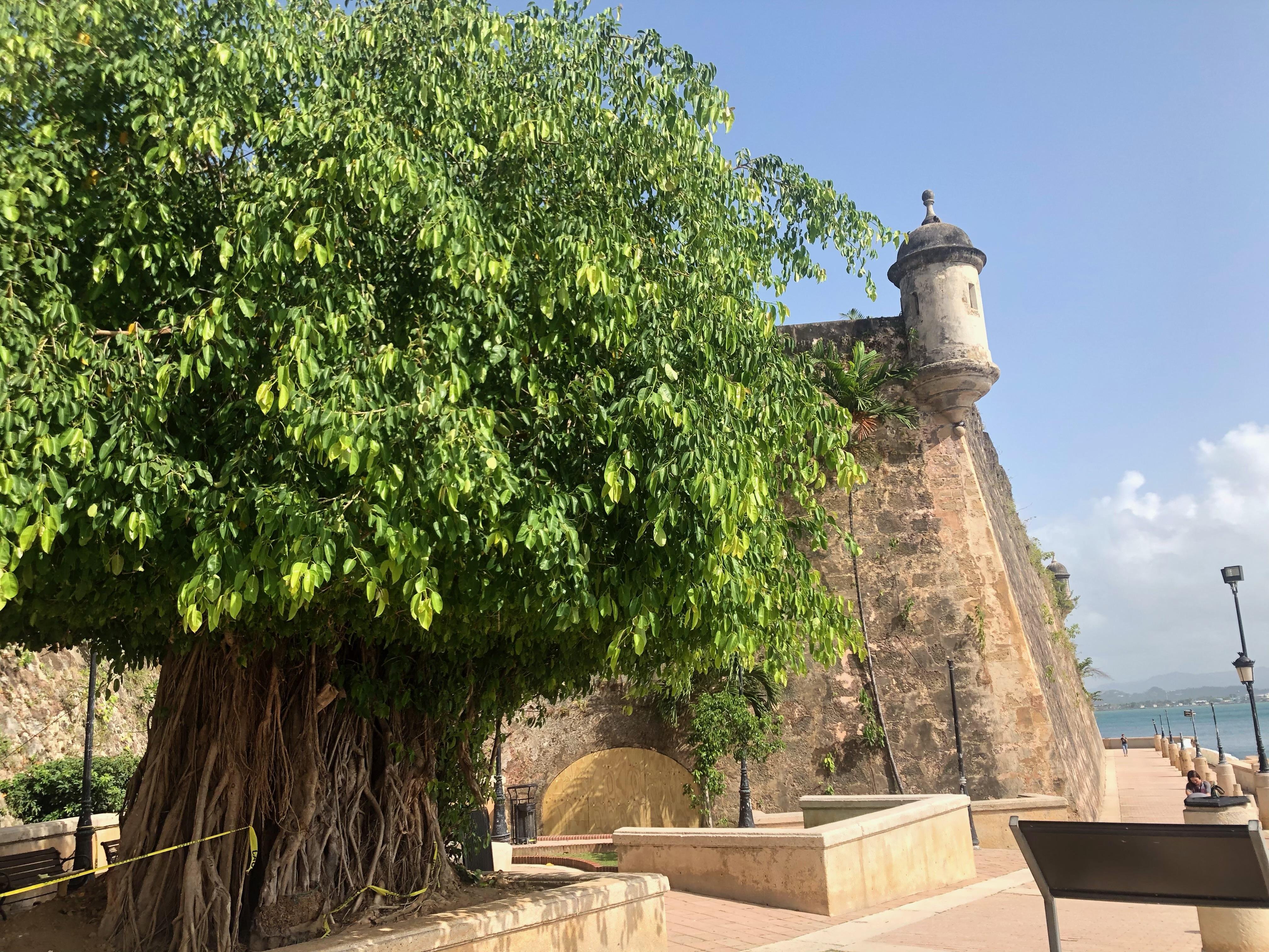 Old San Juan Historic Walking Tour