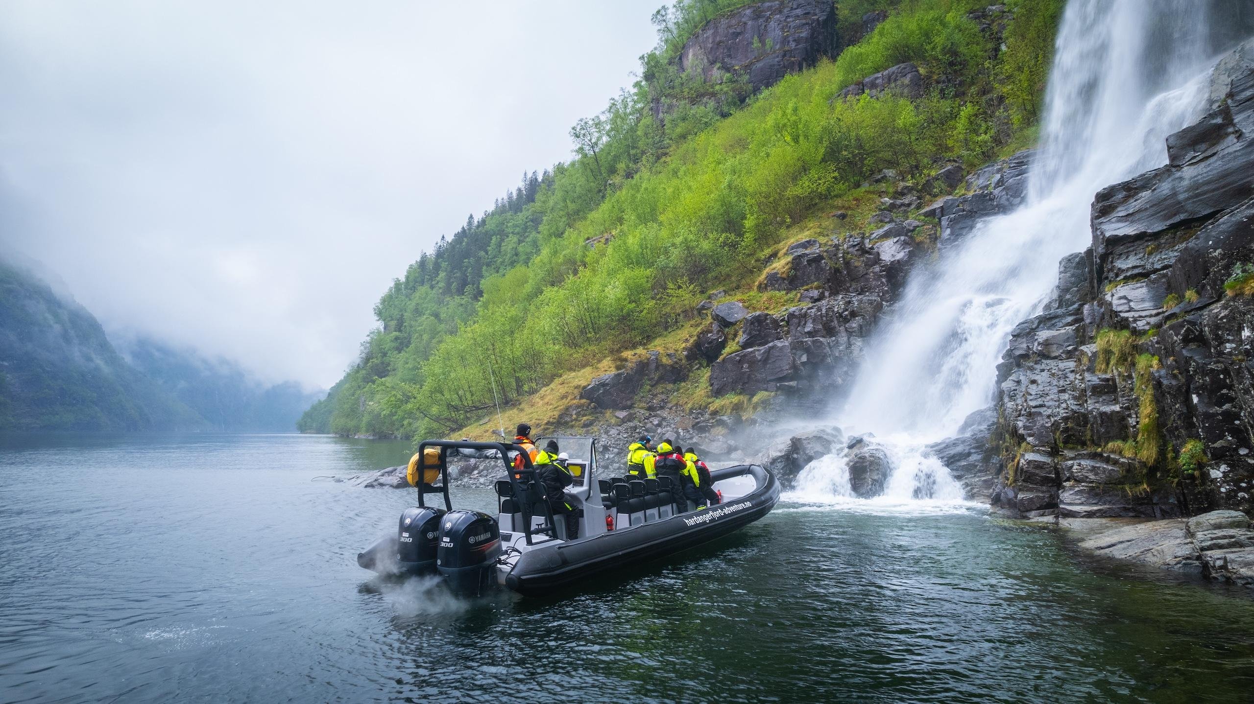 From Norheimsund: All-Year Hardangerfjord RIB Safari - 2026 (Verified Reviews)