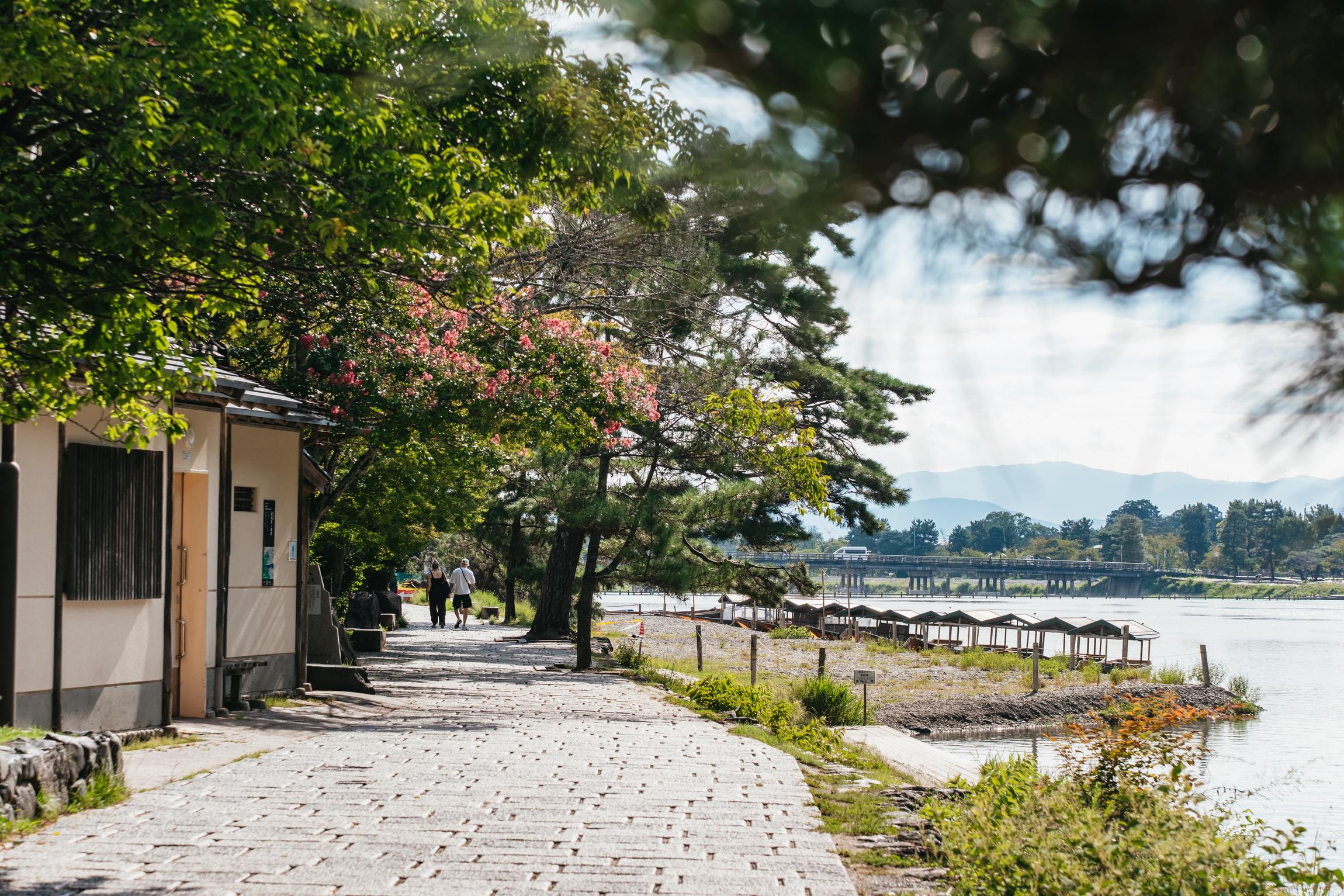 Kyoto in a Day: Bamboo Grove, Nijo Castle & Fushimi Inari Bus Tour