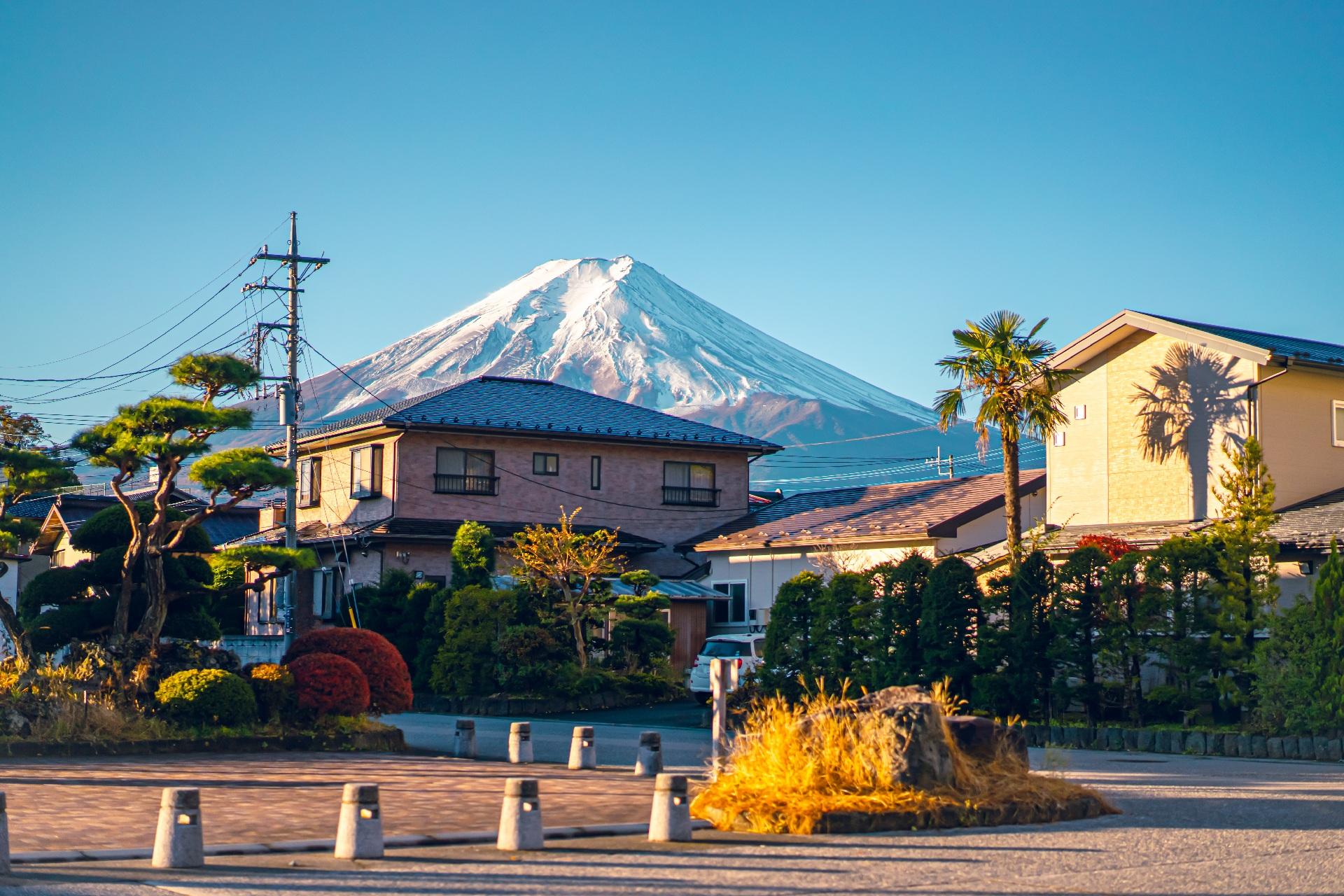 Tokyo Day Trip: Mt. Fuji, Chureito Pagoda & Oshino Hakkai