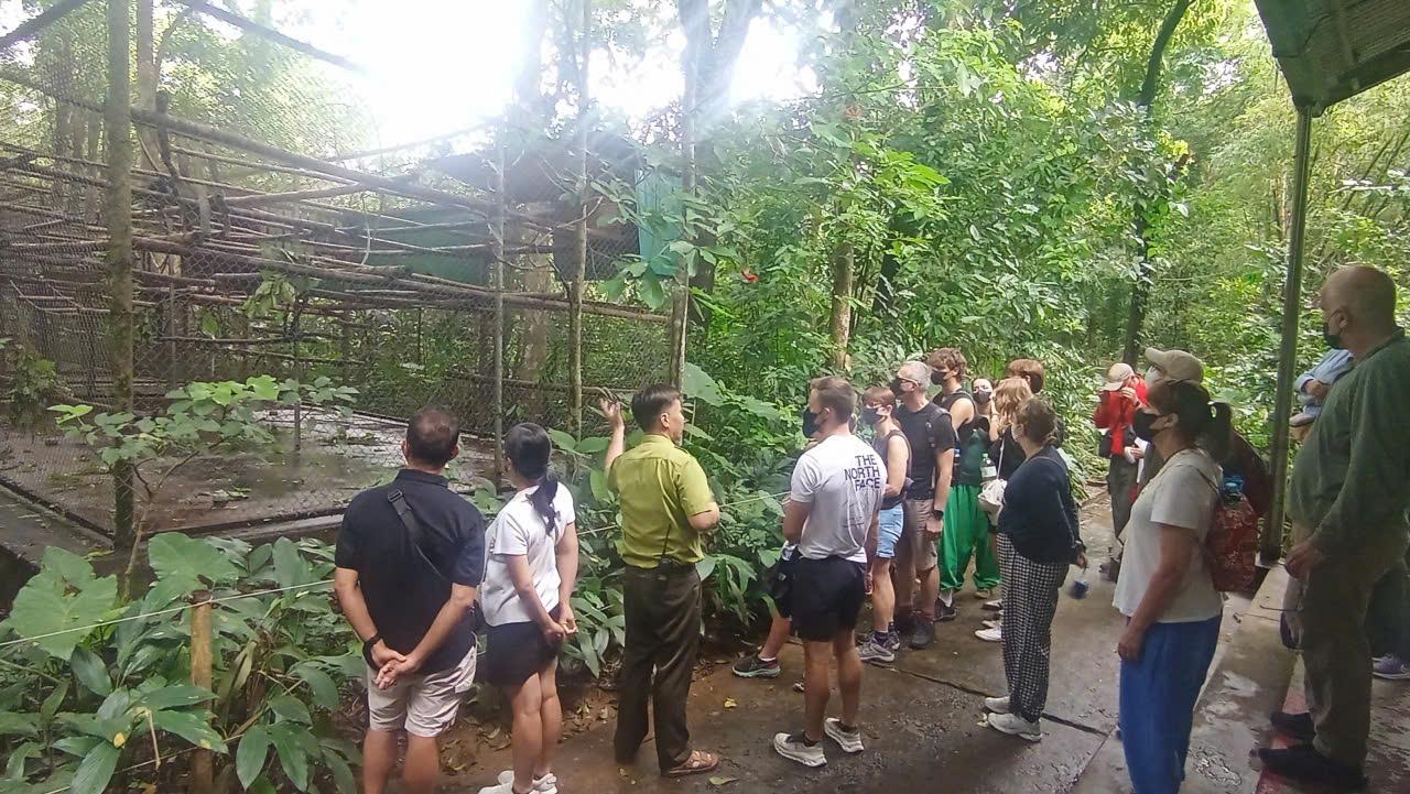 Cuc Phuong National Park: Jungle Trek & Wildlife Day Trip from Ninh Binh