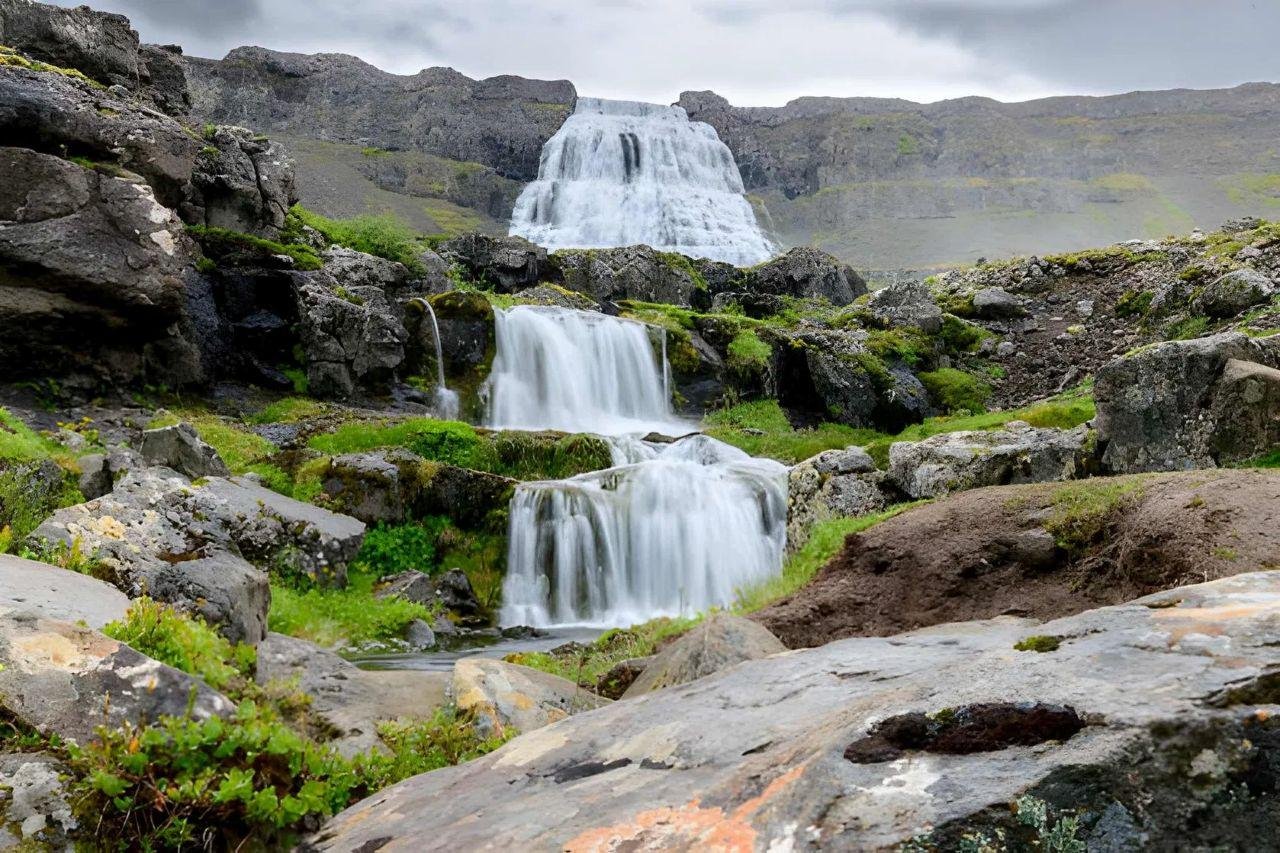 Dynjandi Waterfall & Farm Experience from Ísafjörður