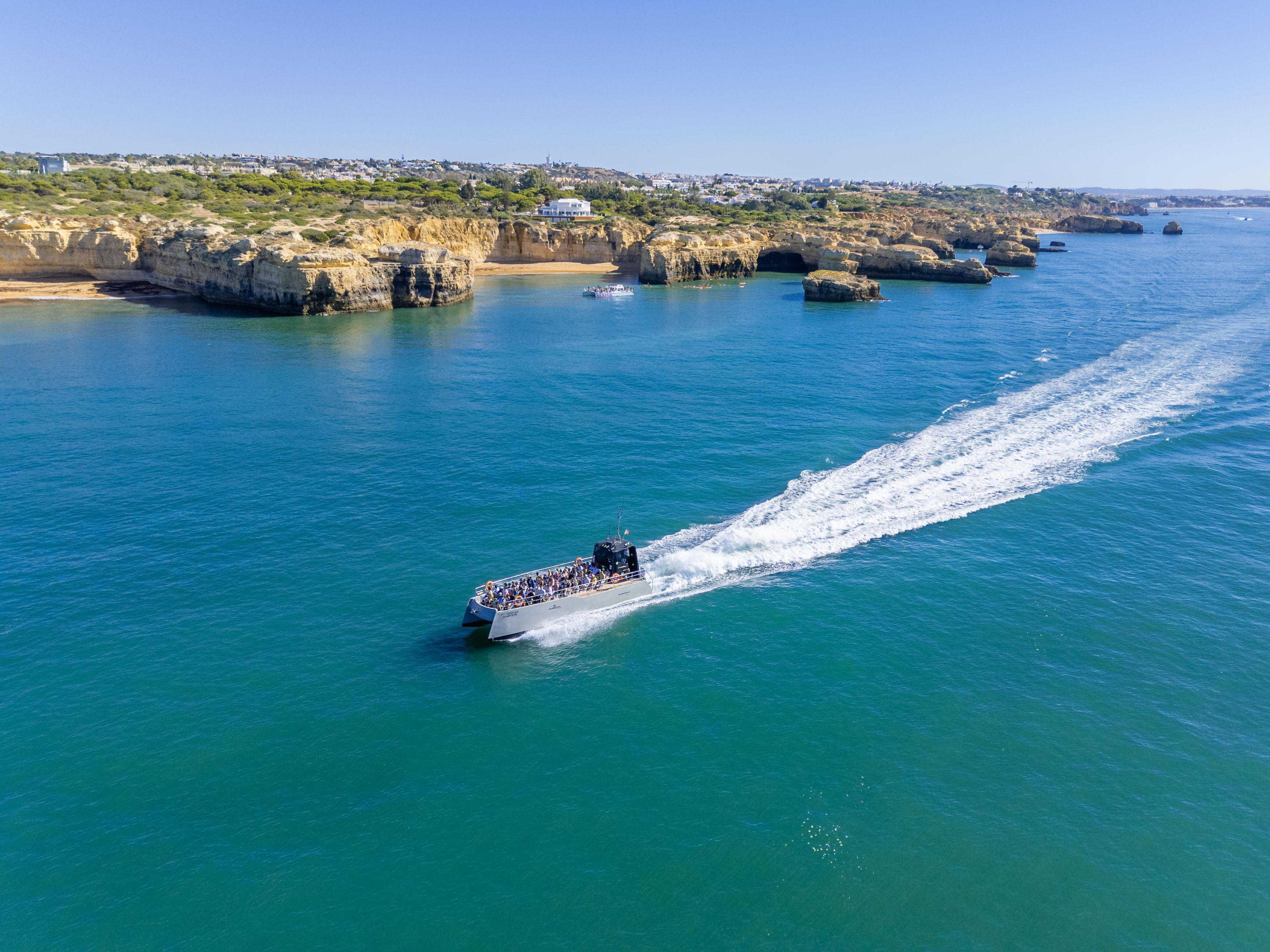 Lagos Catamaran: Dolphin Watching & Benagil Cave with Marine Biologist