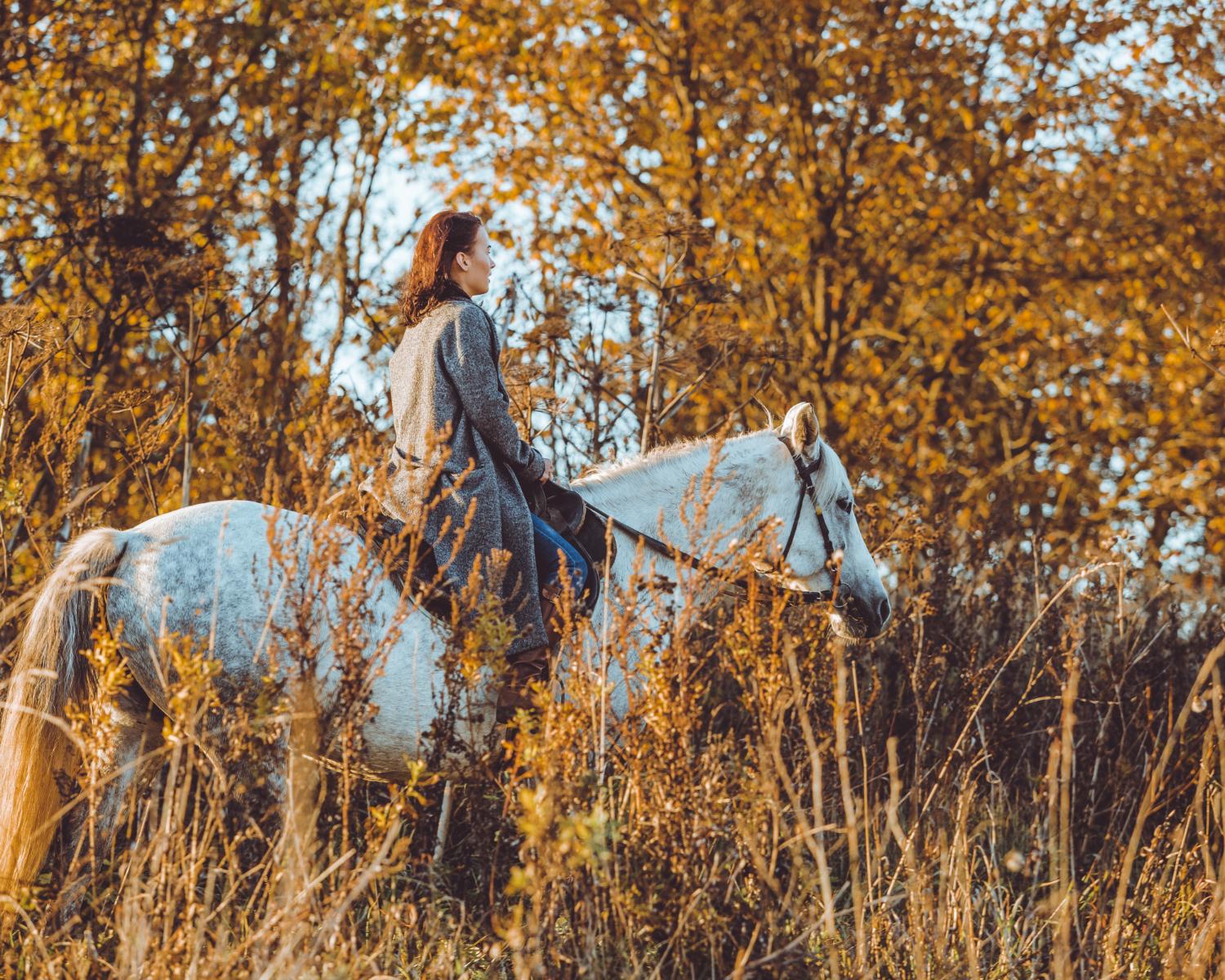Ibiza Horseback Riding & Country Brunch with Hotel Transfer