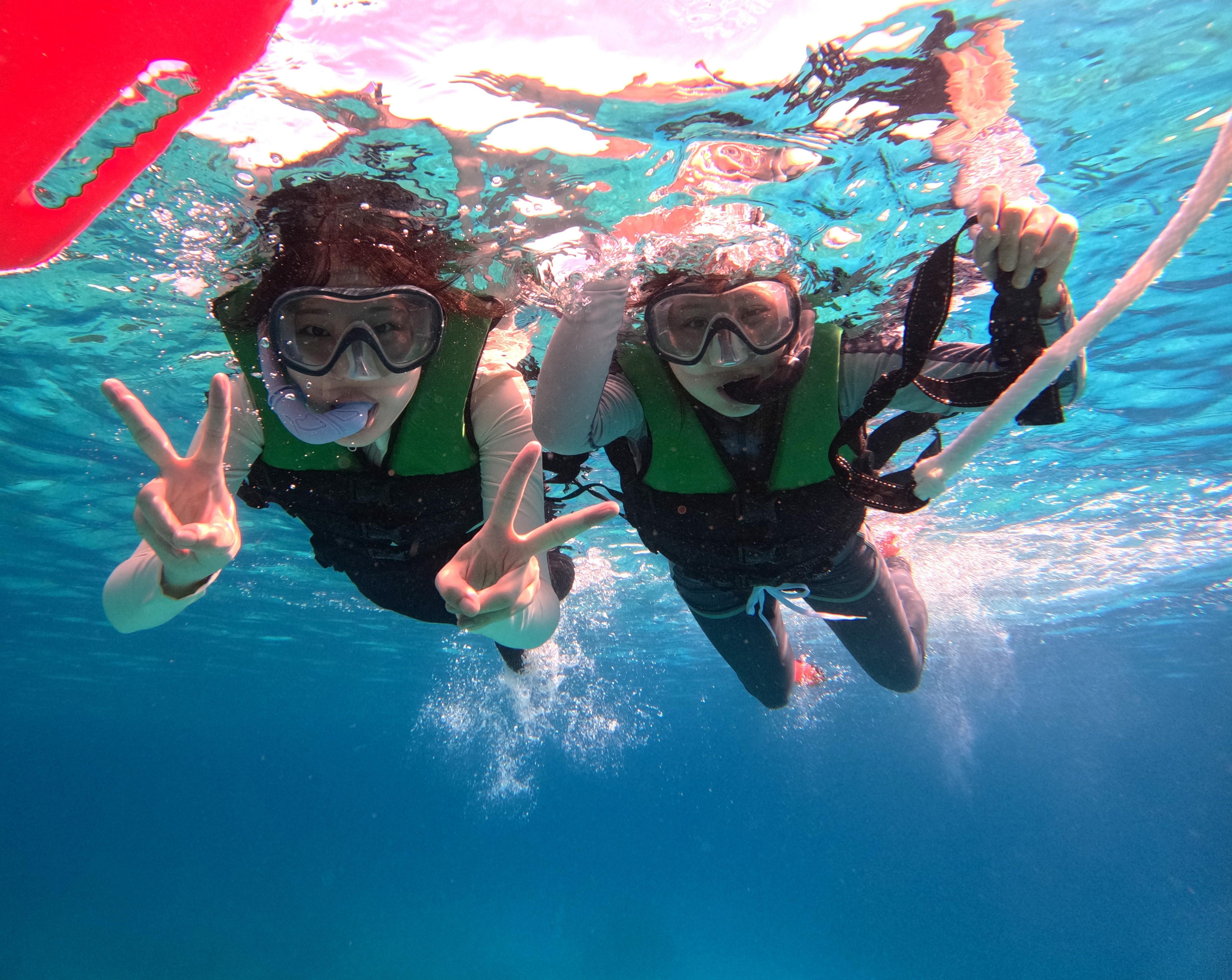 Balicasag & Virgin Island Snorkeling Adventure with Dolphin Watch