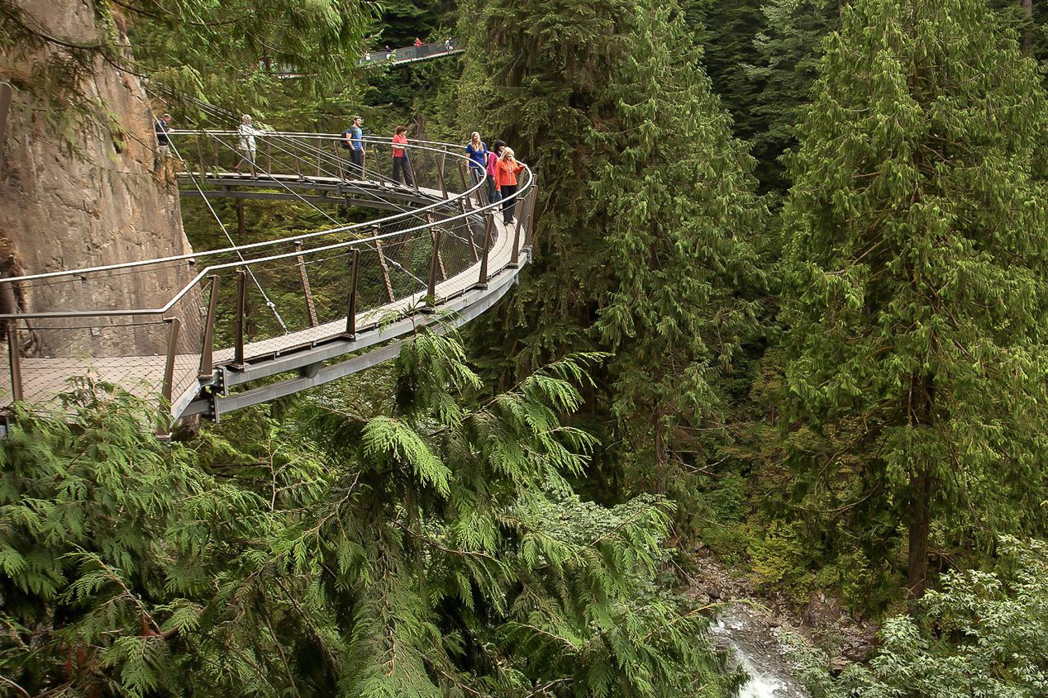 Capilano Suspension Bridge & Grouse Mountain Full-Day Tour