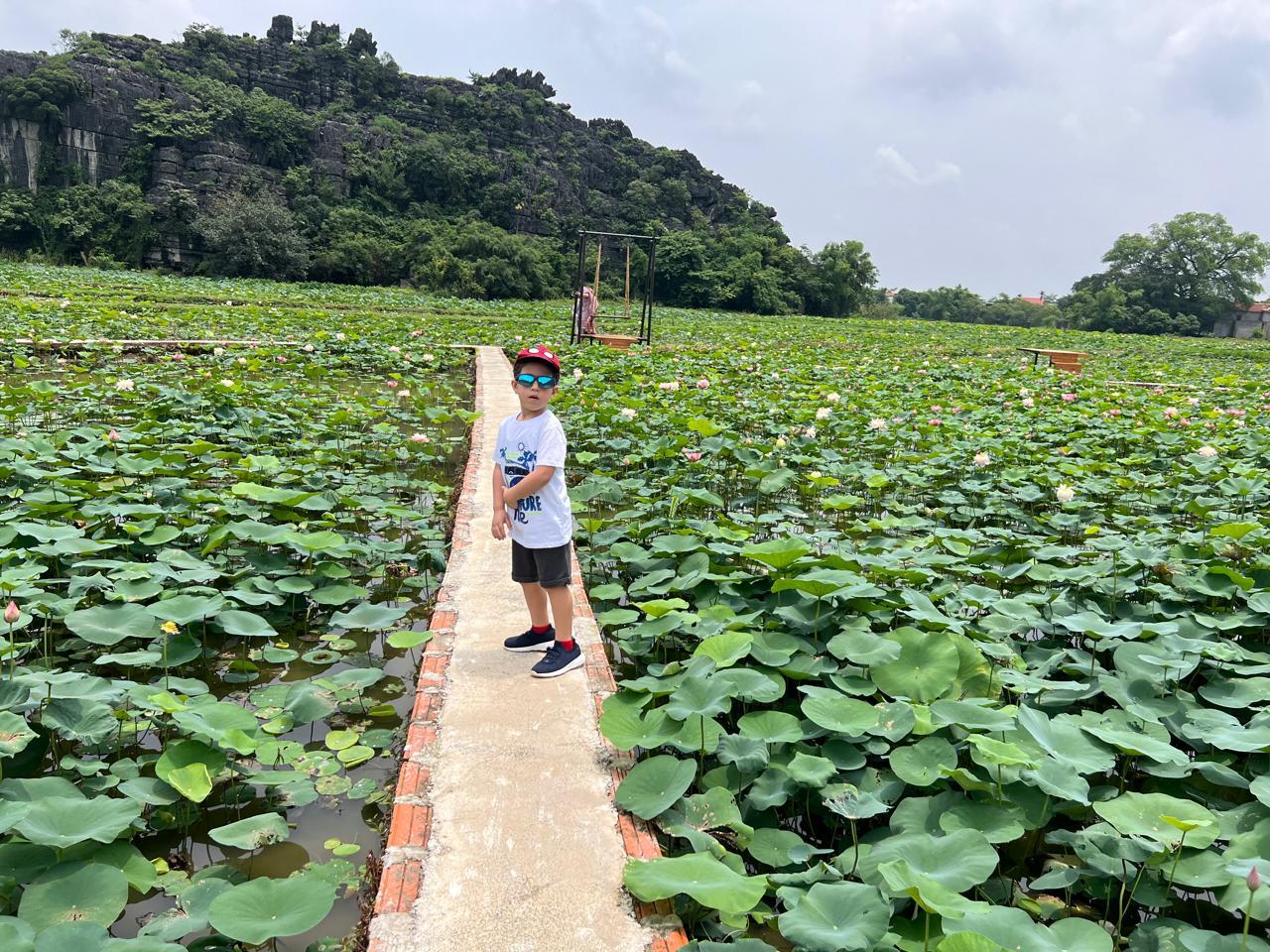 Hanoi to Ninh Binh: Hoa Lu, Trang An & Mua Cave Day Tour
