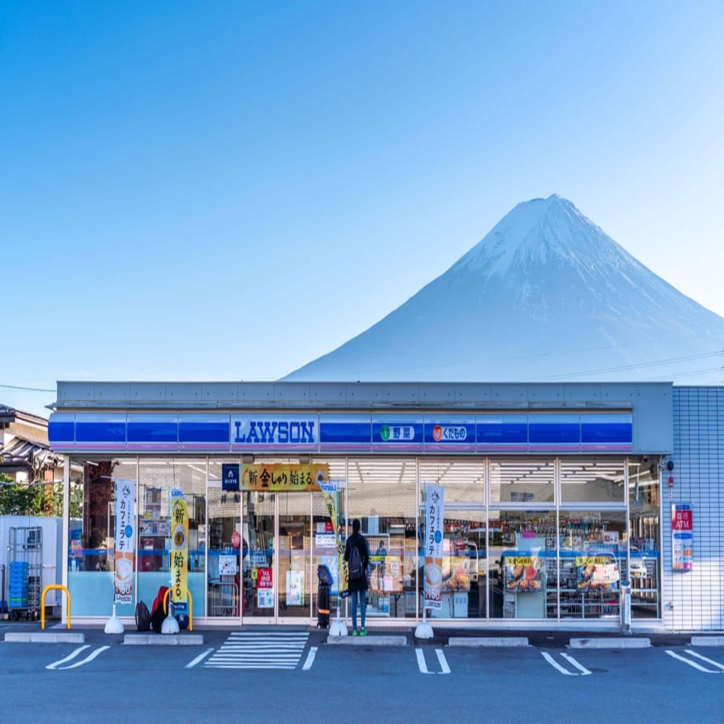 Tokyo to Mt. Fuji & Hakone Private Day Tour