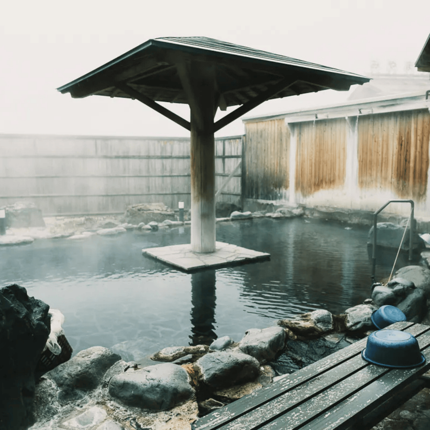 Private Nagano Day Tour: Snow Monkeys, Zenko-ji & Hot Springs from Tokyo