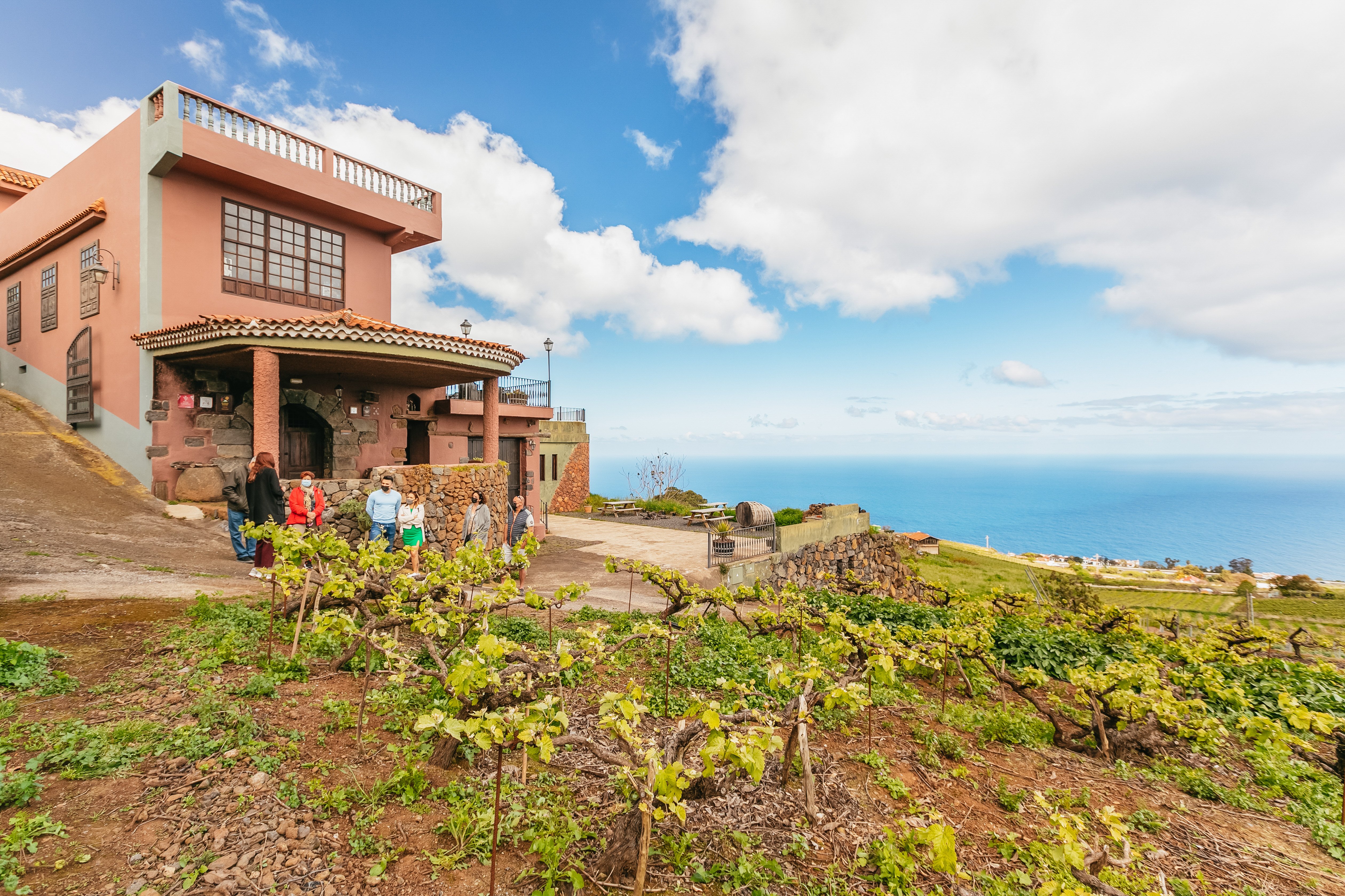 wine tour in Tenerife — photo 4