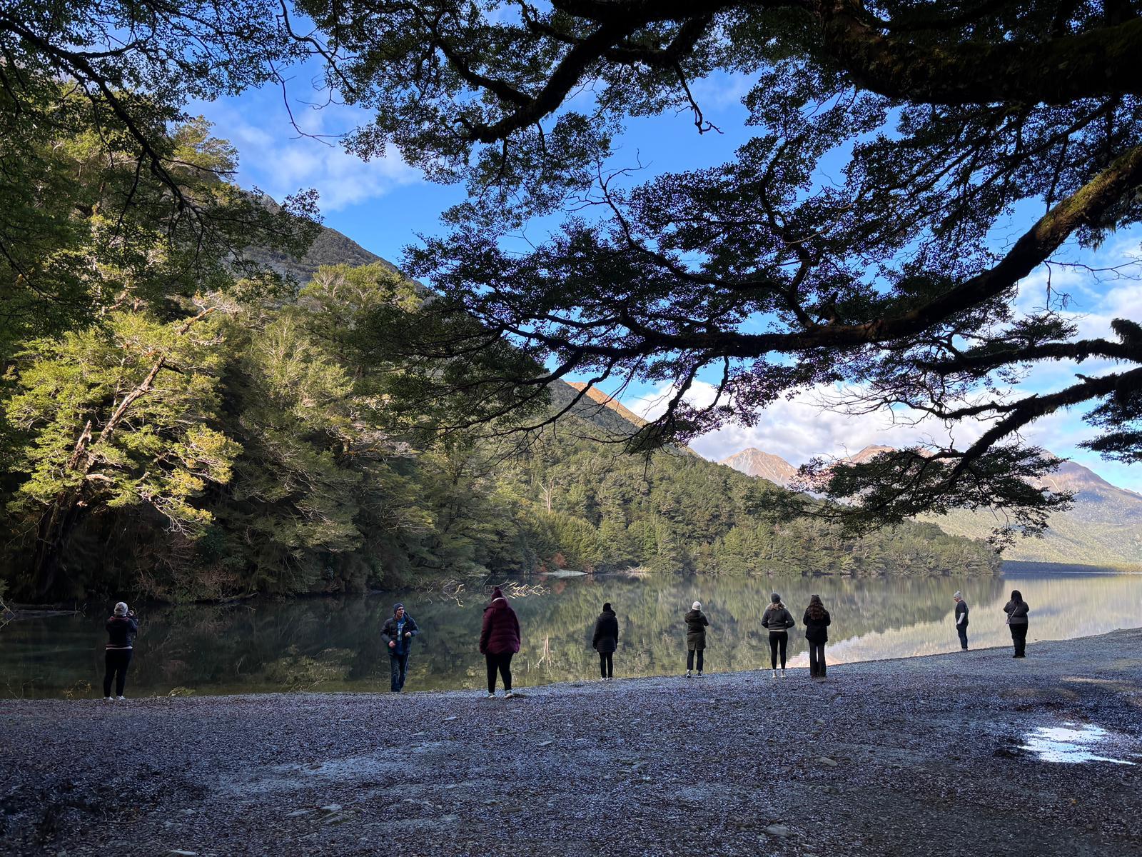 Milford Sound Small-Group Day Tour from Queenstown with Cruise & Lunch