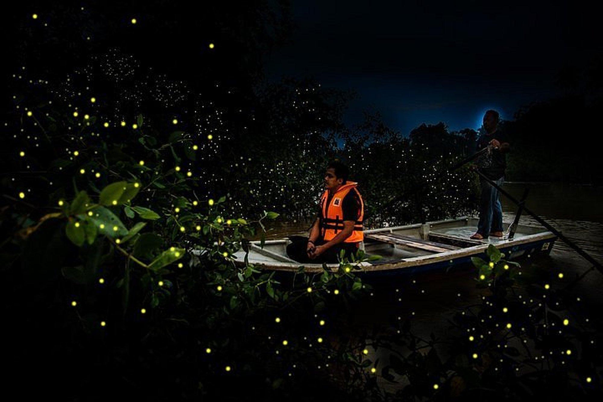 Fireflies & Fort Tour with Seafood Dinner