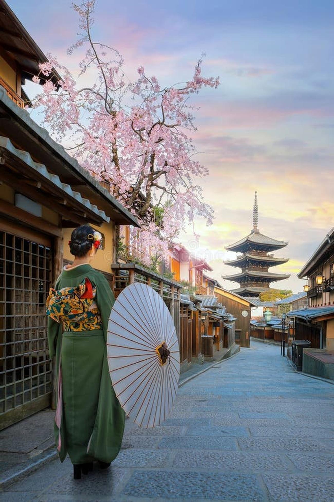 Kyoto Private Day Tour with Guide & Vehicle