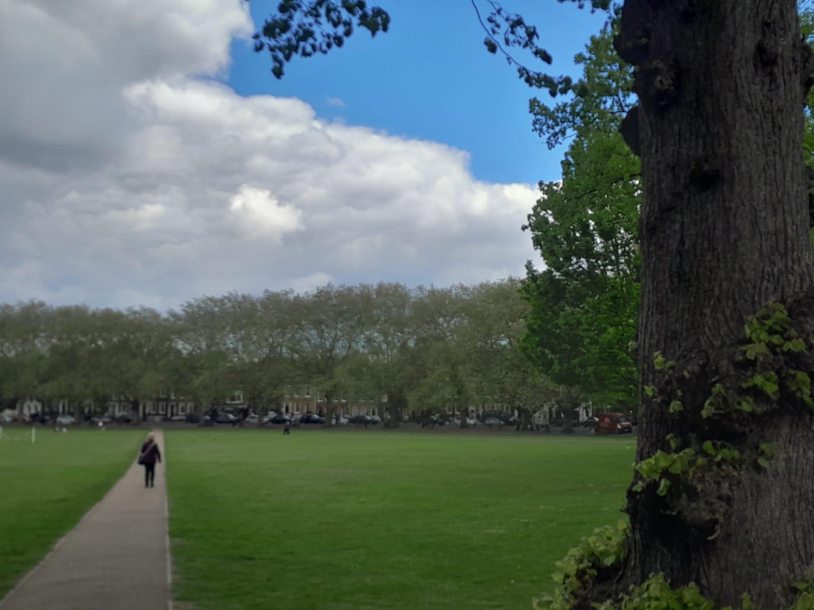 Private London: Kew Gardens, Richmond & Ted Lasso Tour