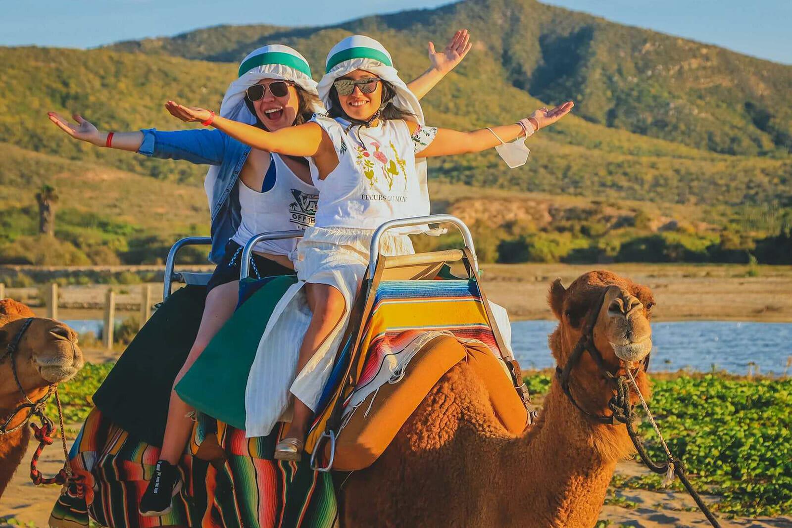 Cabo Desert Camel Ride with Mexican Buffet & Tequila Tasting