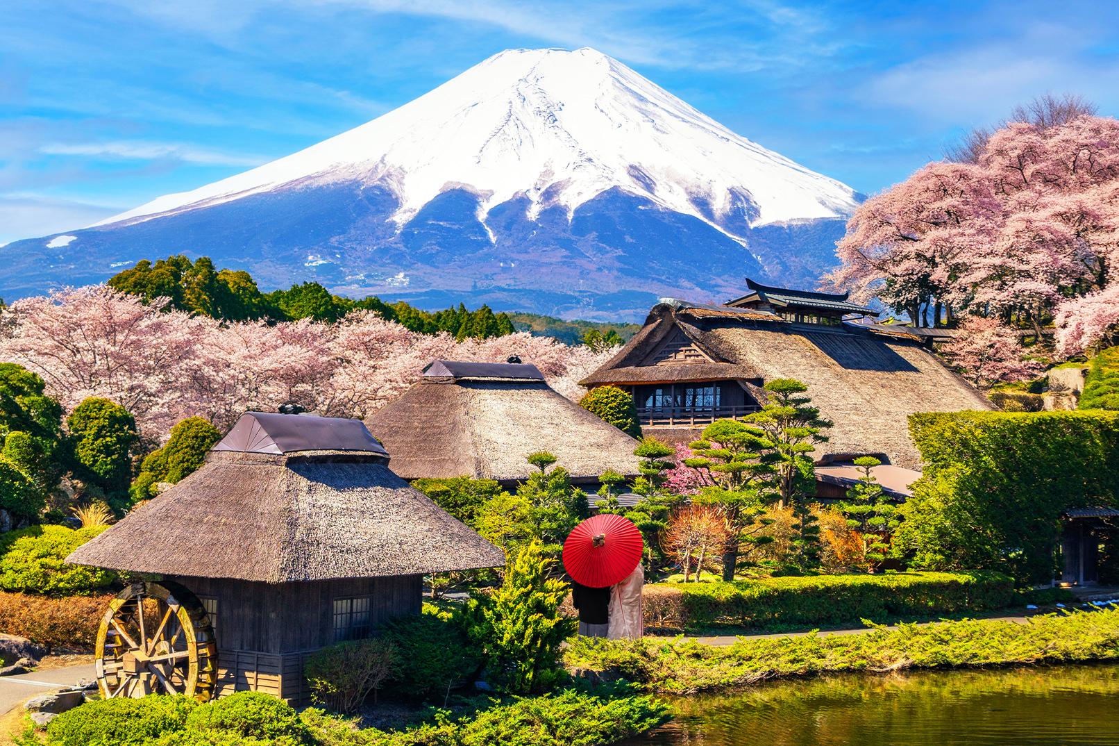 Mt. Fuji & Lake Kawaguchiko Full-Day Tour with Ropeway & Matcha