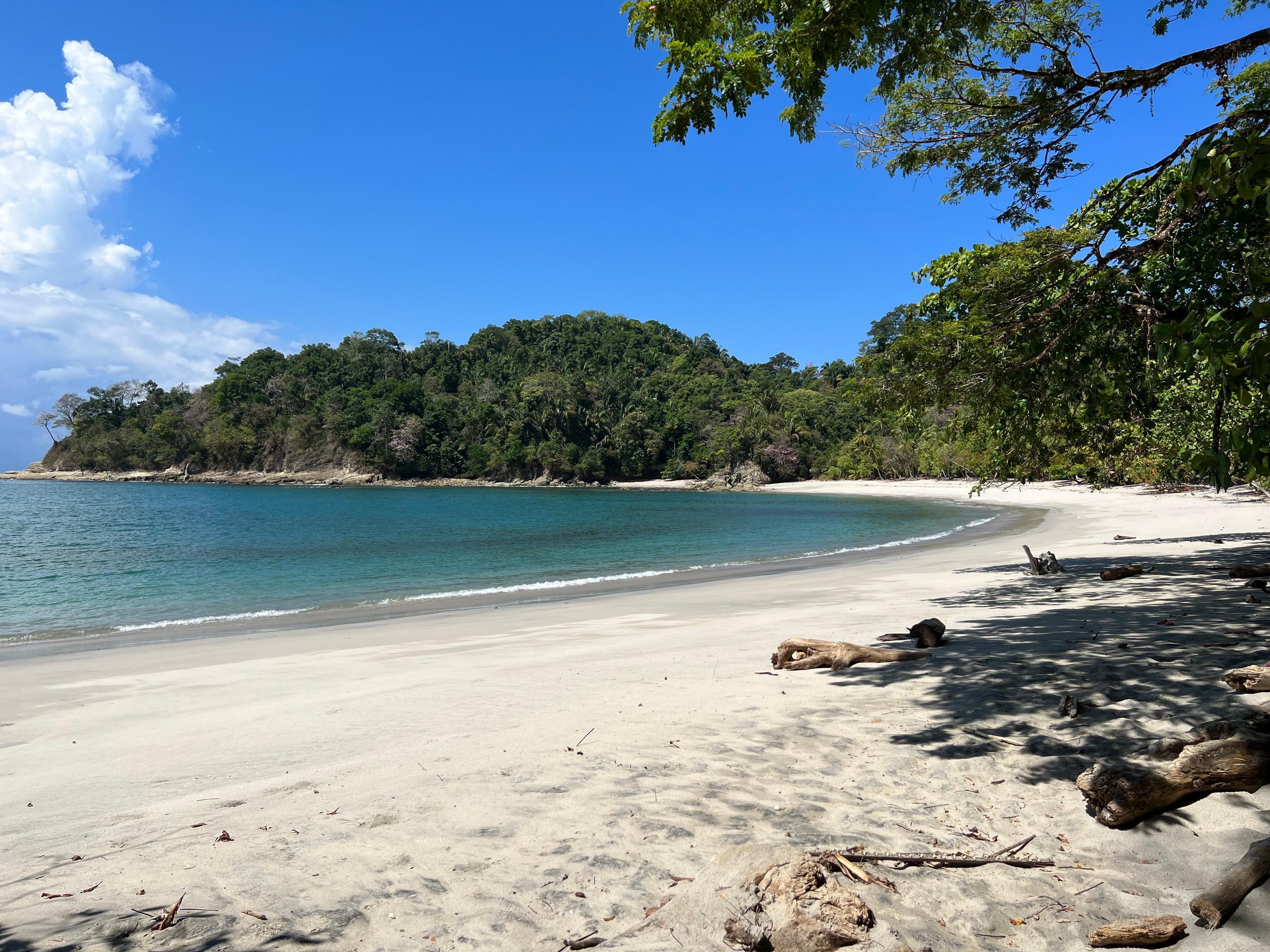 PRIVATE TOUR Manuel Antonio park