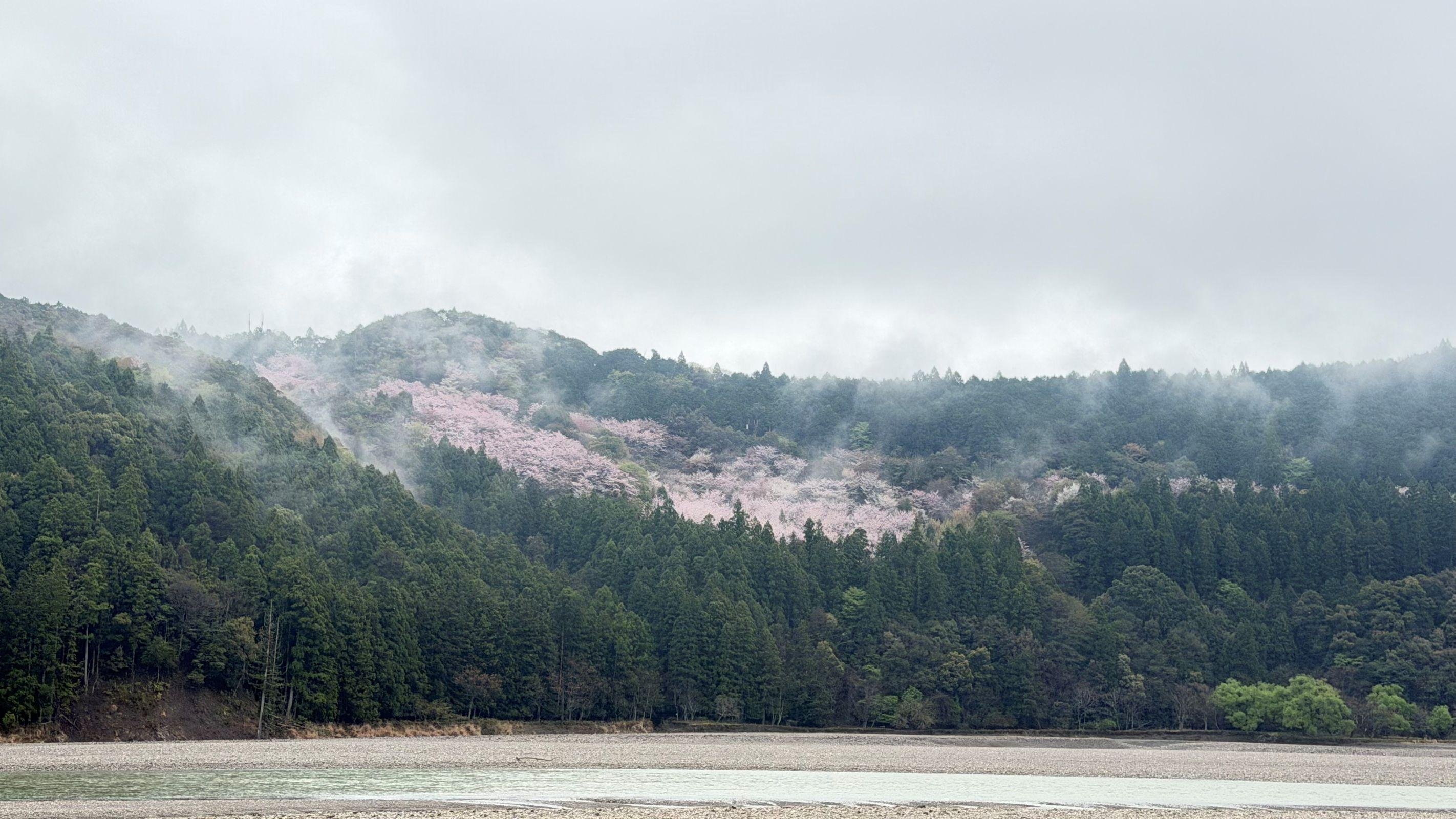 Getting to Nachi Falls by train and bus — misty Kumano hills