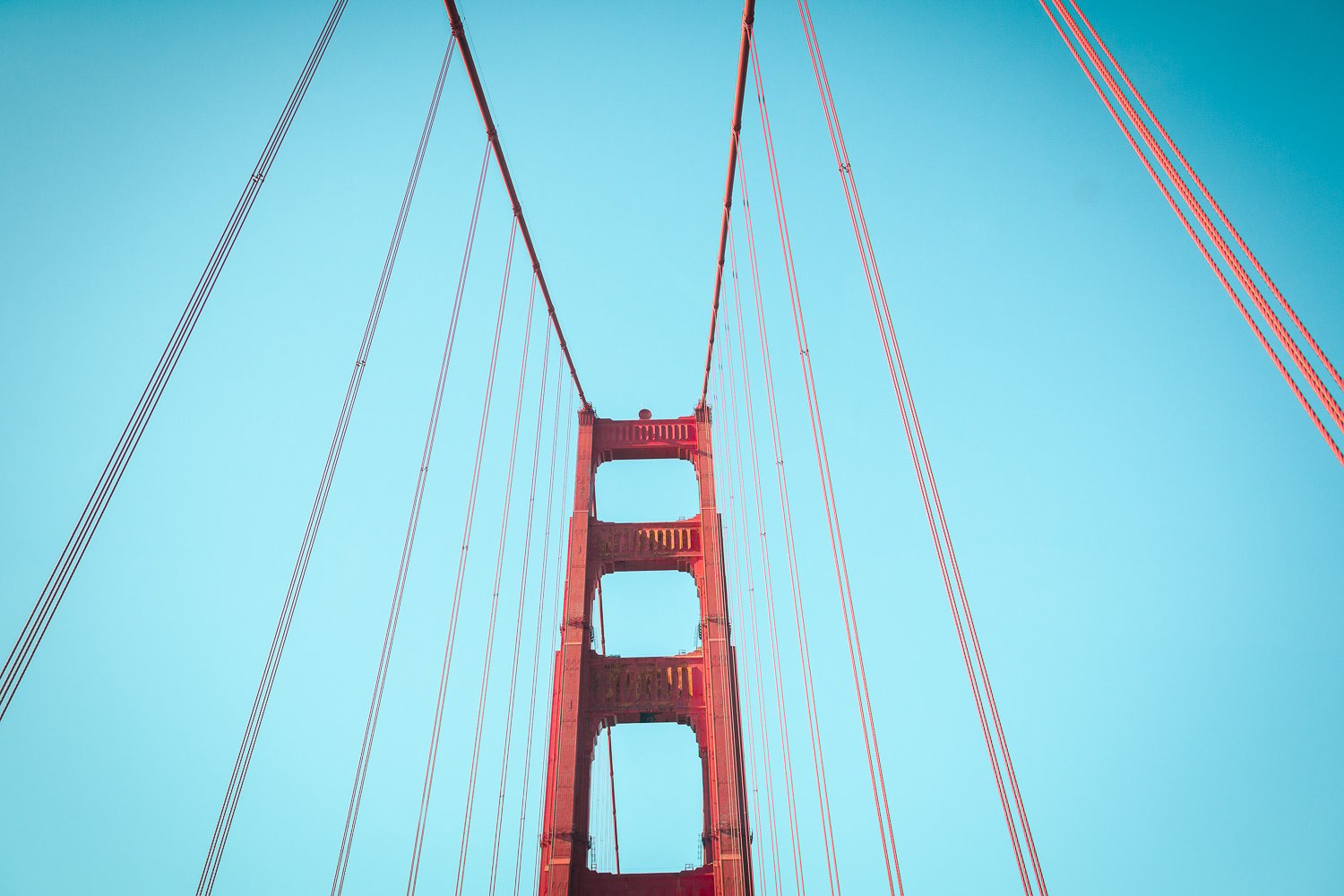 San Francisco: 2-Day Hop-On Hop-Off Bus & Alcatraz Island Tour