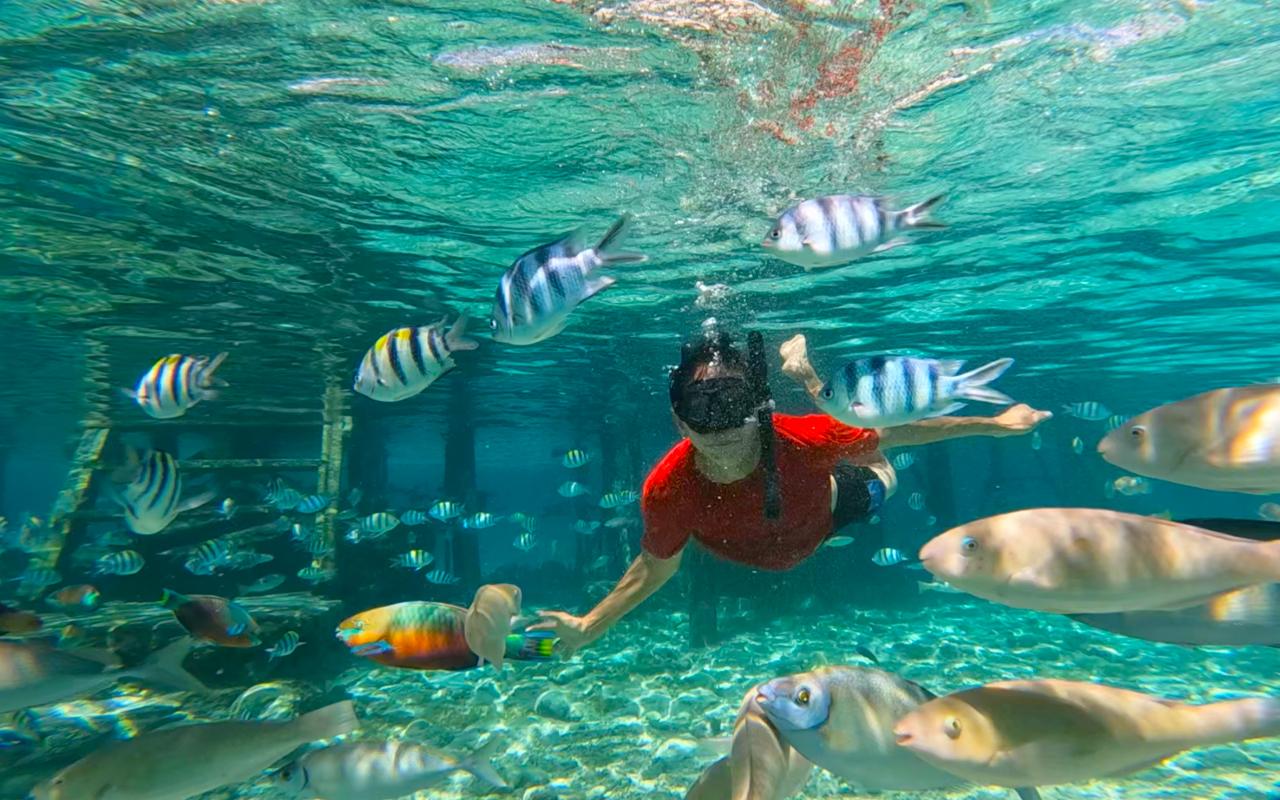 Cebu Private Mactan Island Hopping with Lunch
