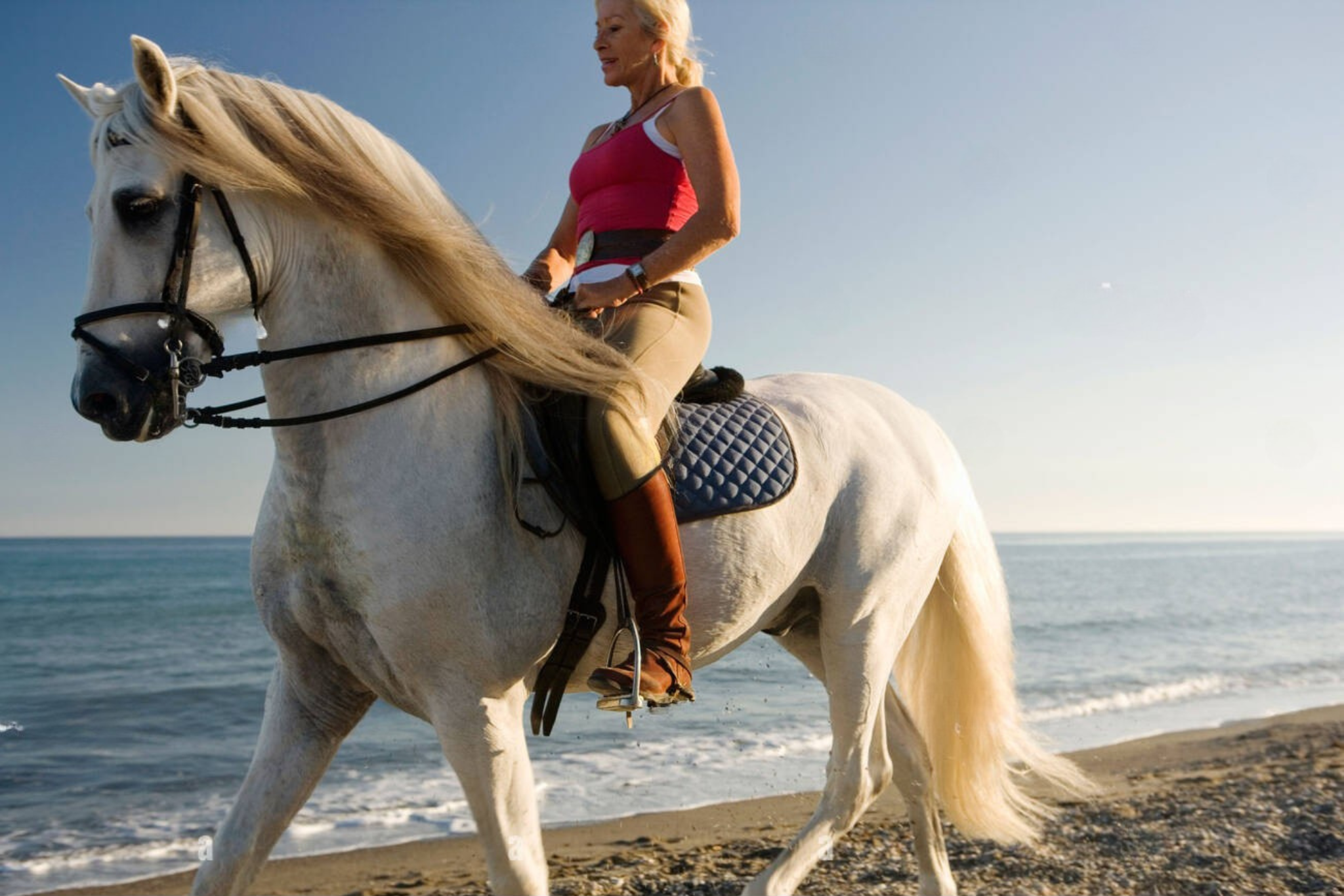 Casablanca Horseback Riding Adventure by the Sea