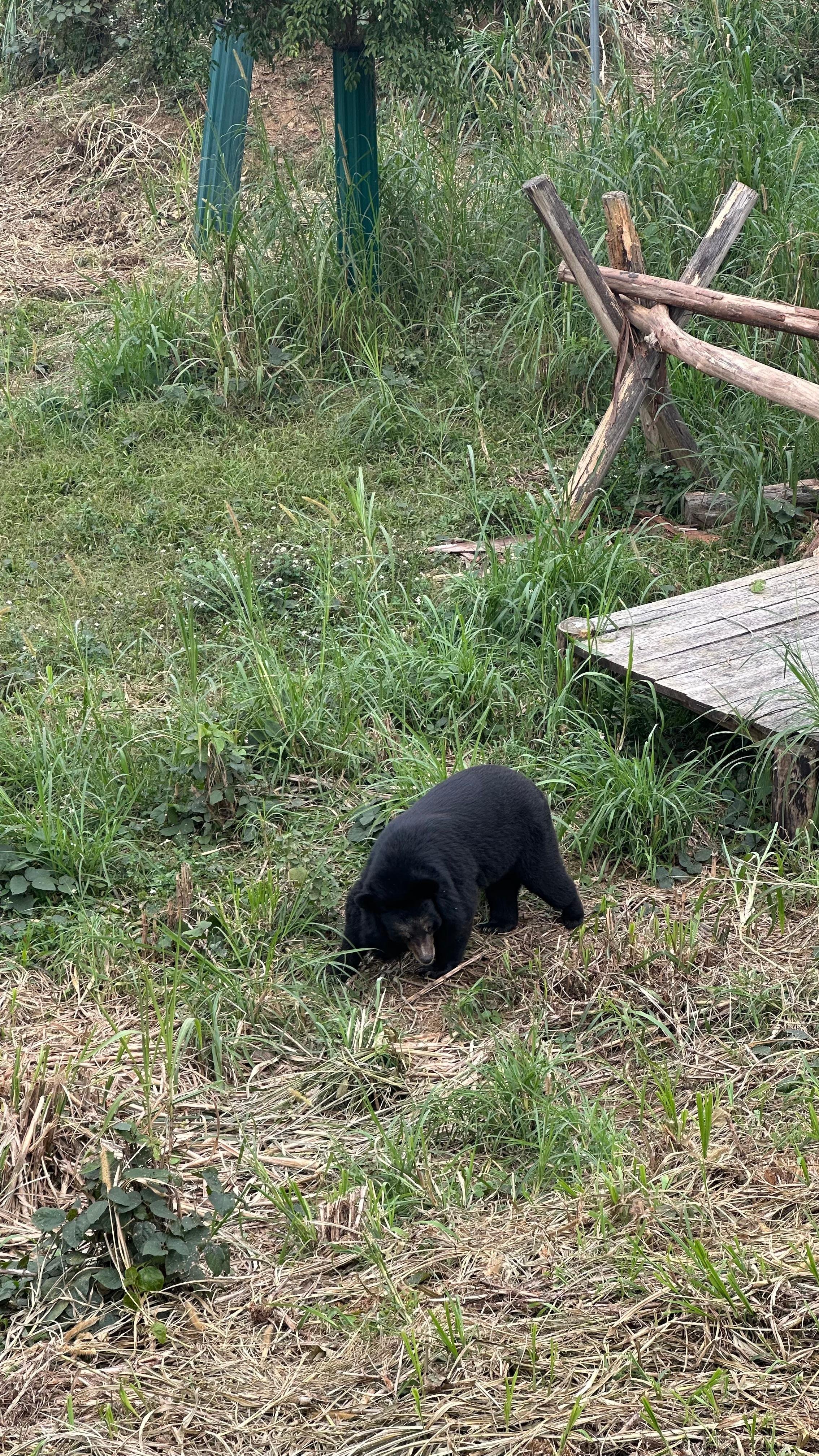 Cuc Phuong National Park Day Trek & Bear Sanctuary from Ninh Binh