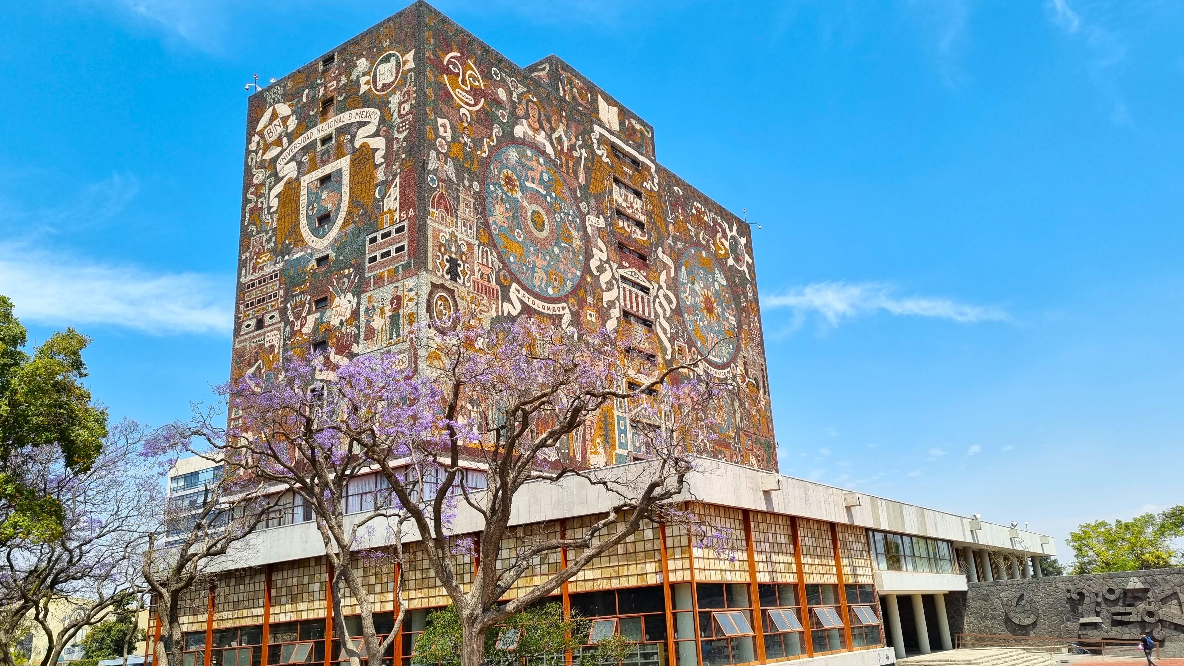 Mexico City Cultural Full-Day Tour: Xochimilco, UNAM & Coyoacán