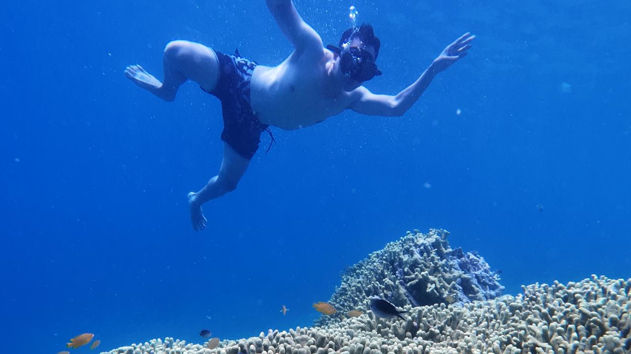 Tabuhan & Menjangan Island Snorkeling Adventure