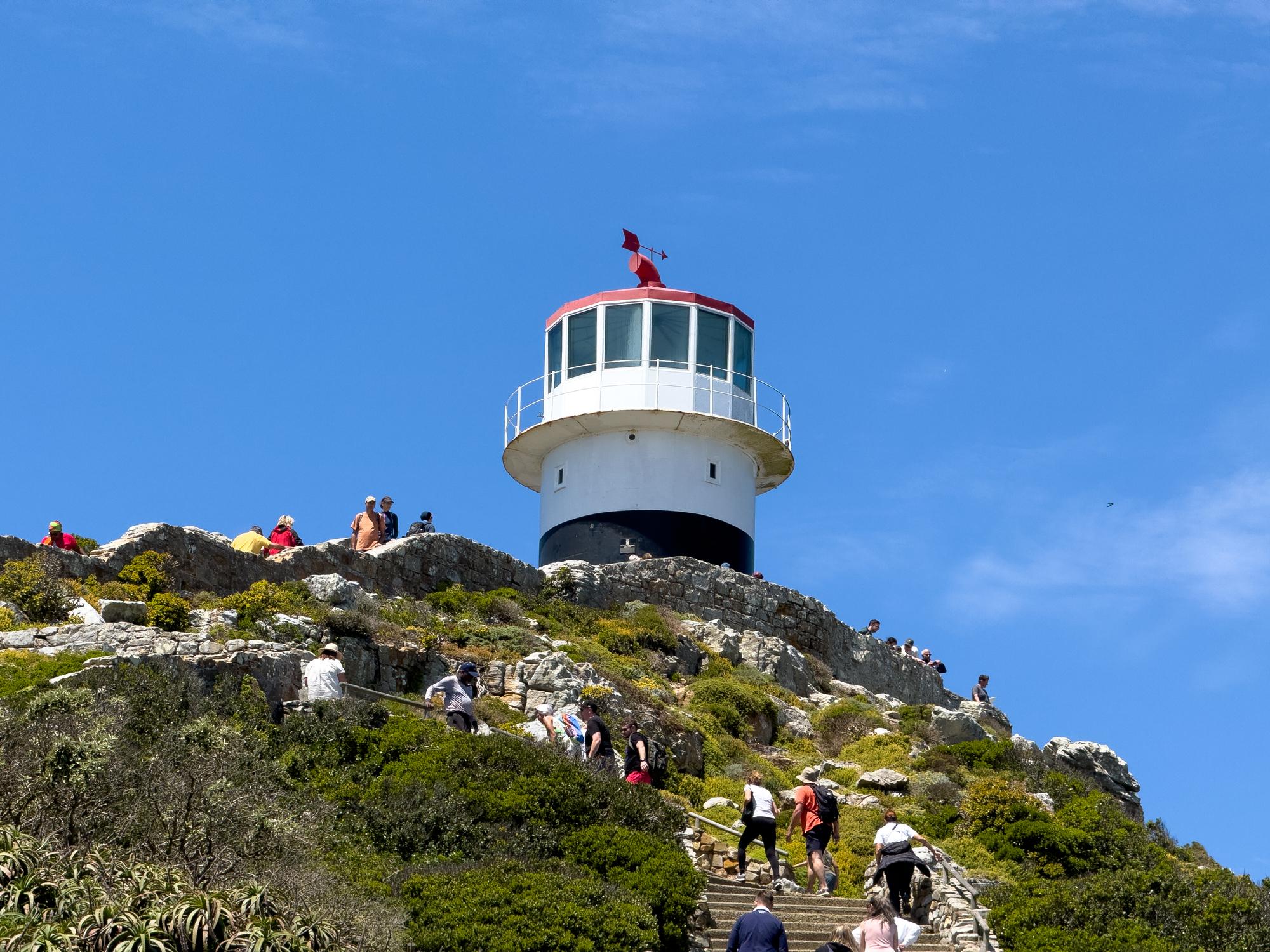 Cape Town Full-Day Tour: Table Mountain, Cape Point & Penguin Colony