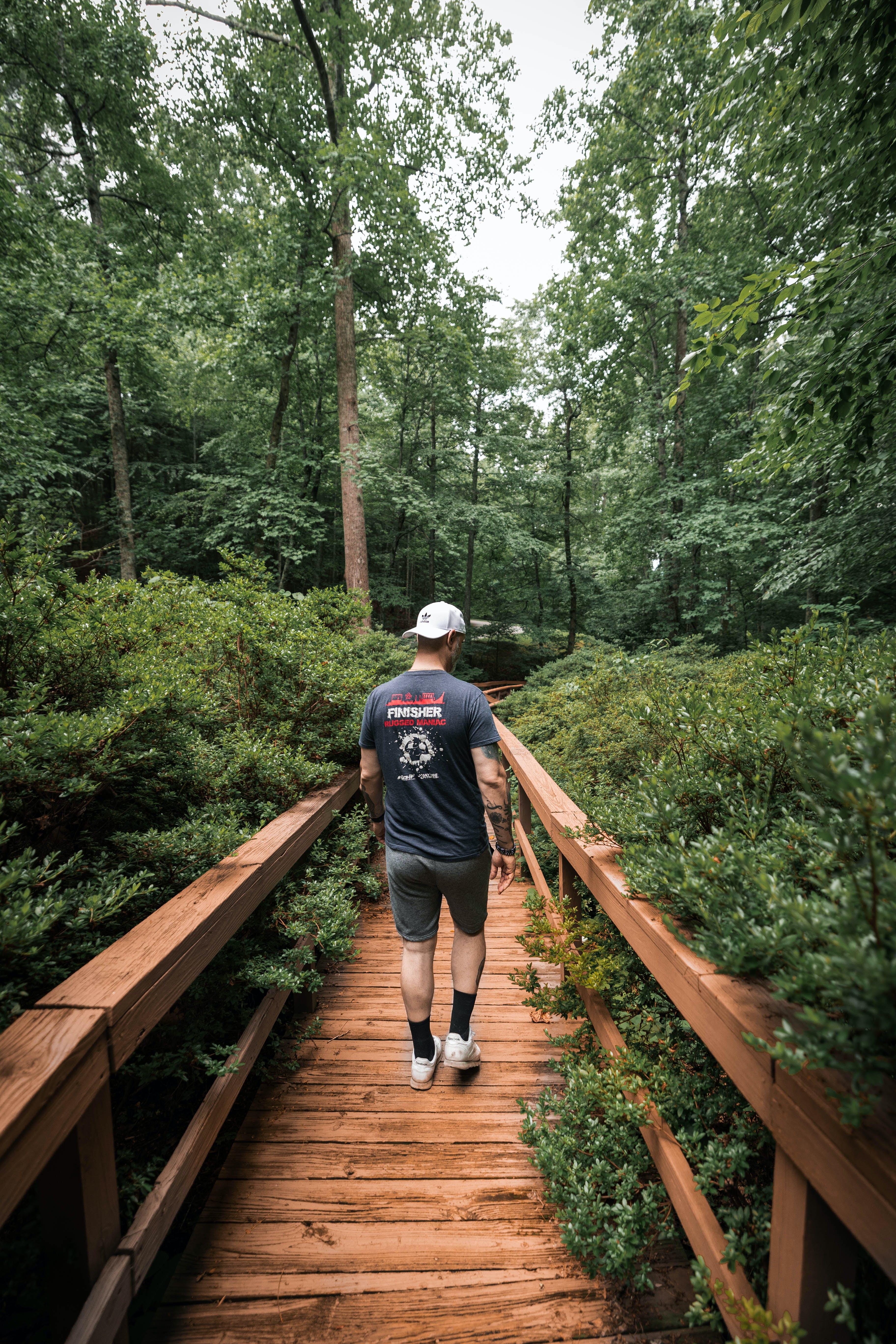 Karura Forest Nature Hiking Expedition