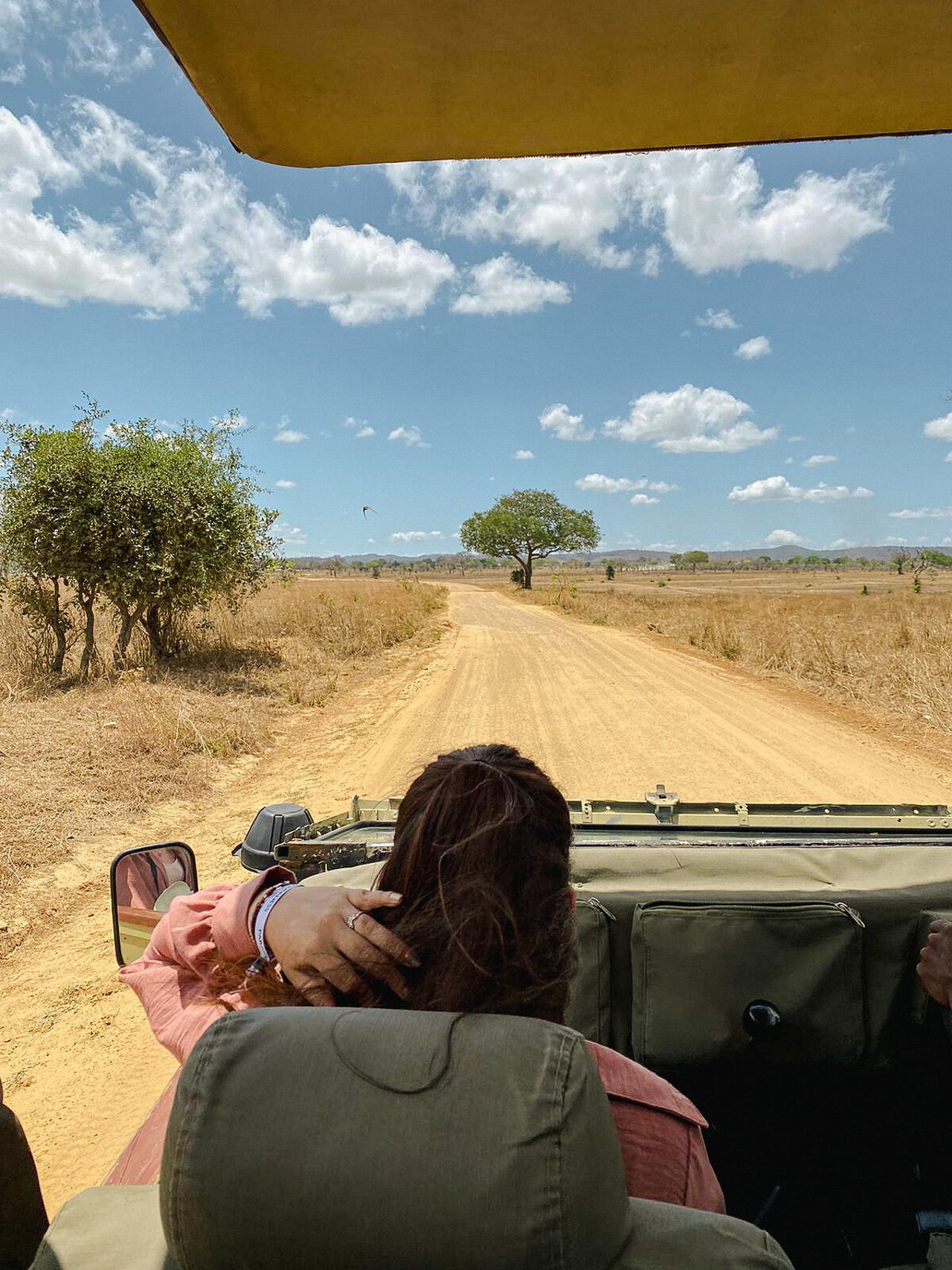 Zanzibar to Mikumi: Fly-In Safari Day Trip with Bush Lunch