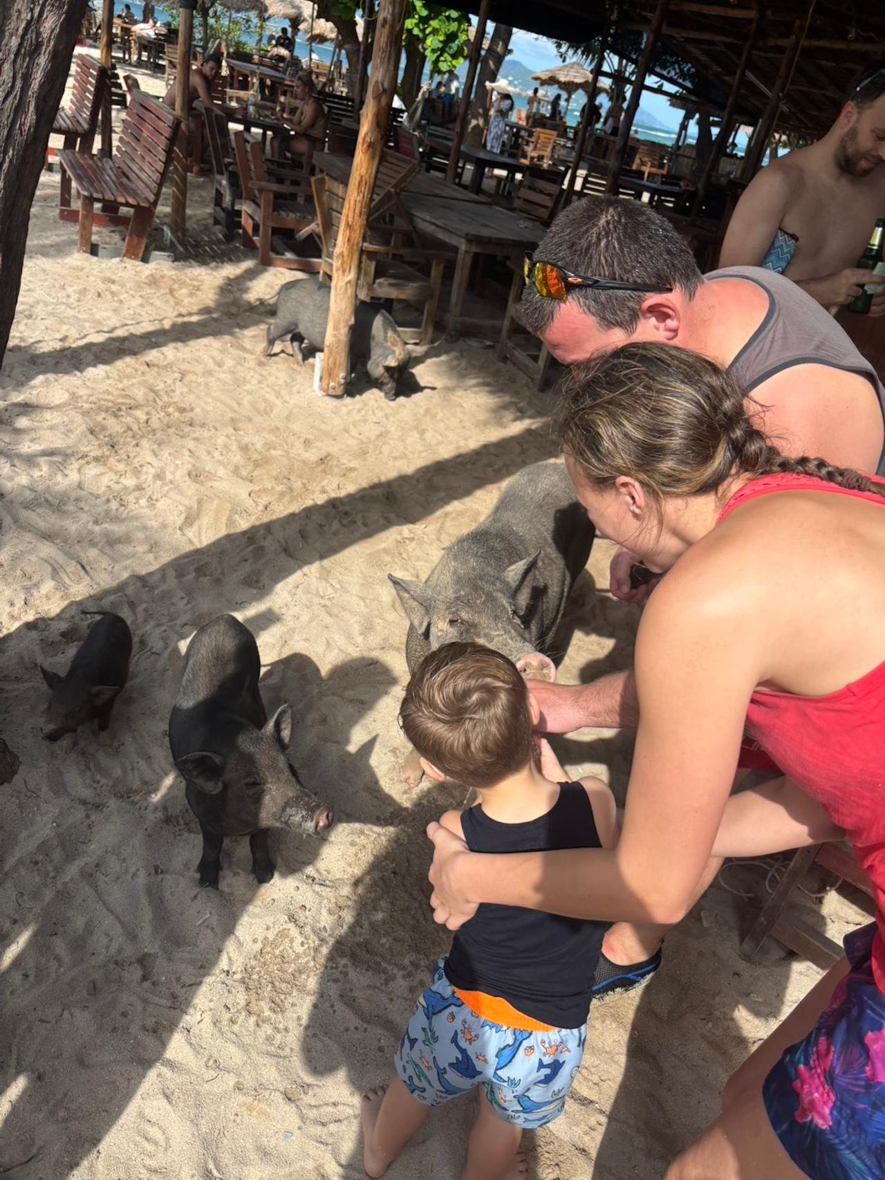 Koh Samui: Pig Island & Koh Tan Snorkeling Adventure