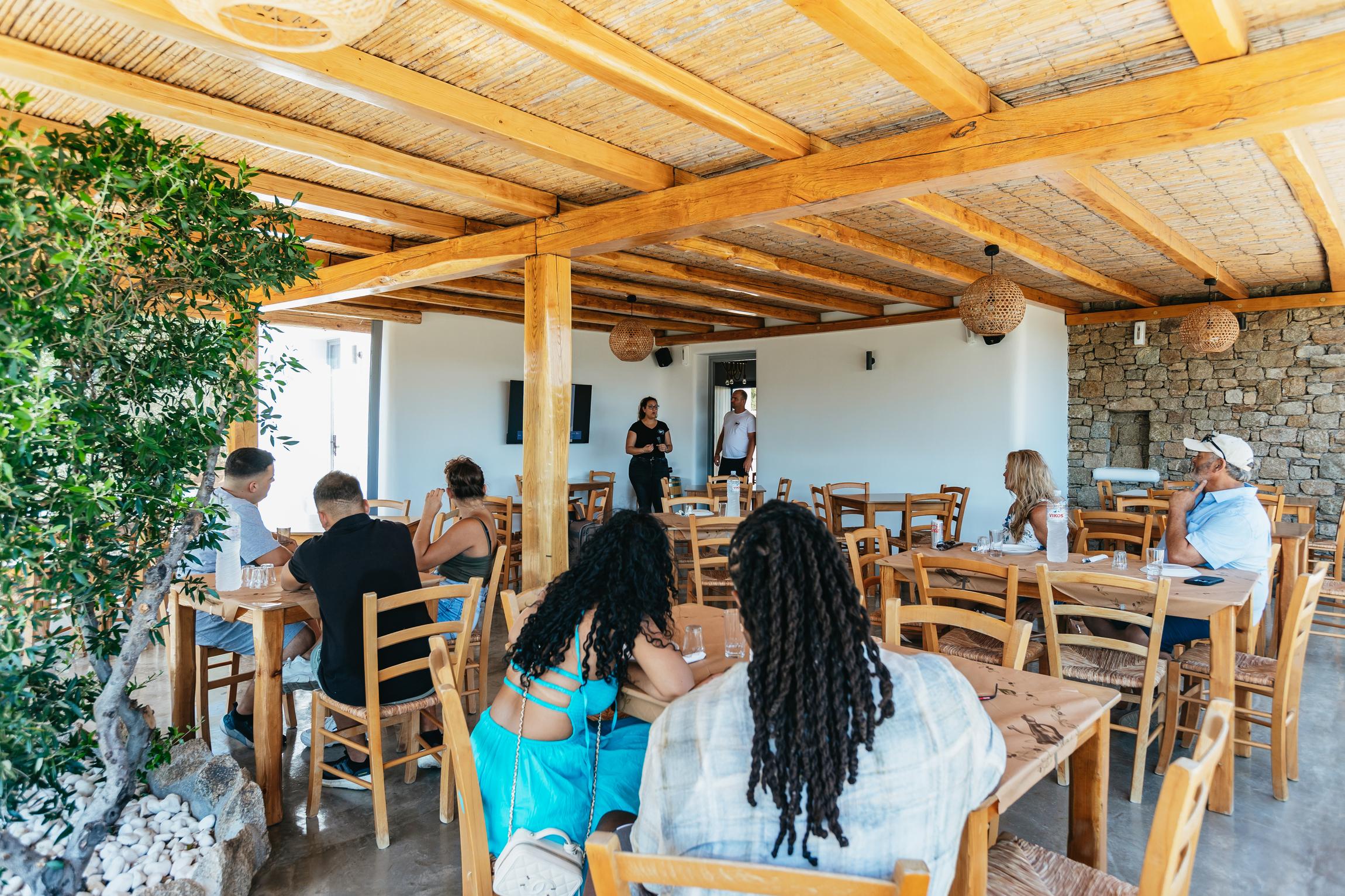 Mykonos Organic Vineyard Tour with Wine and Local Bites