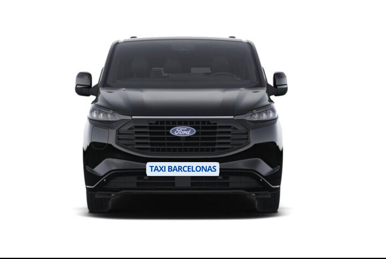 Private Transfer: Barcelona City Centre to Cruise Terminal