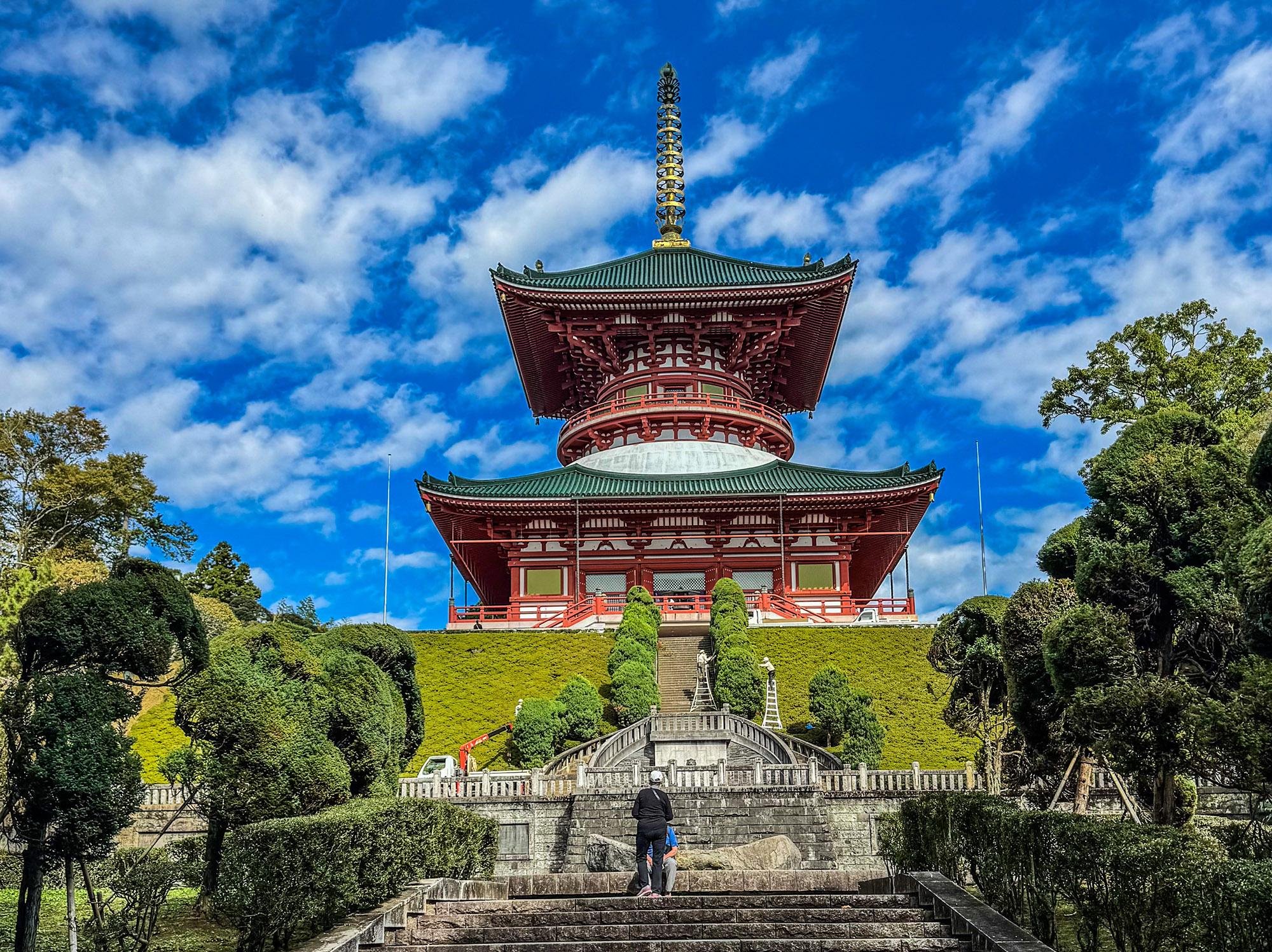 Narita Layover: Shinshoji Temple & Omotesandō Private Tour