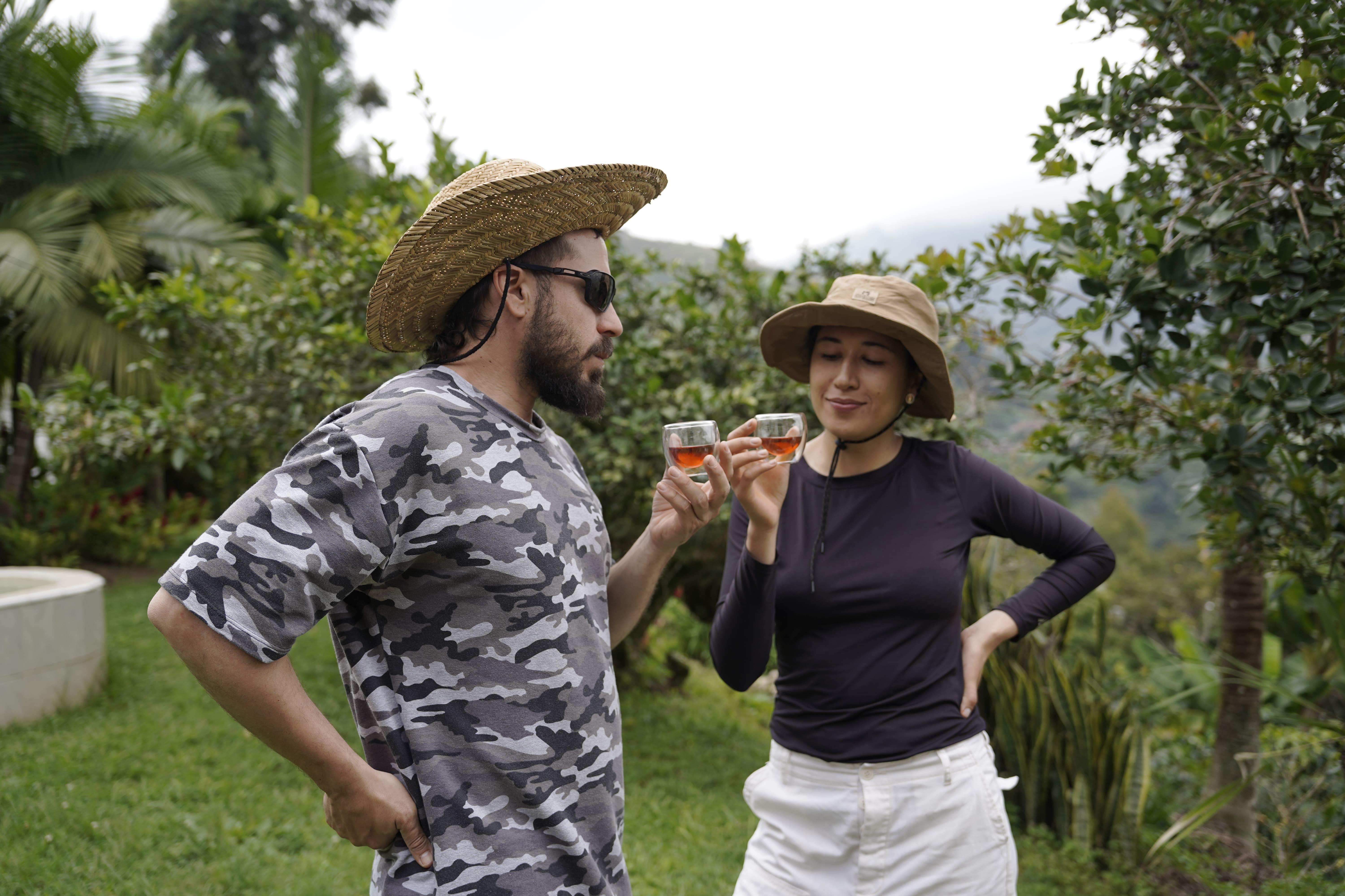 Sustainable Coffee Farm & Native Bee Experience