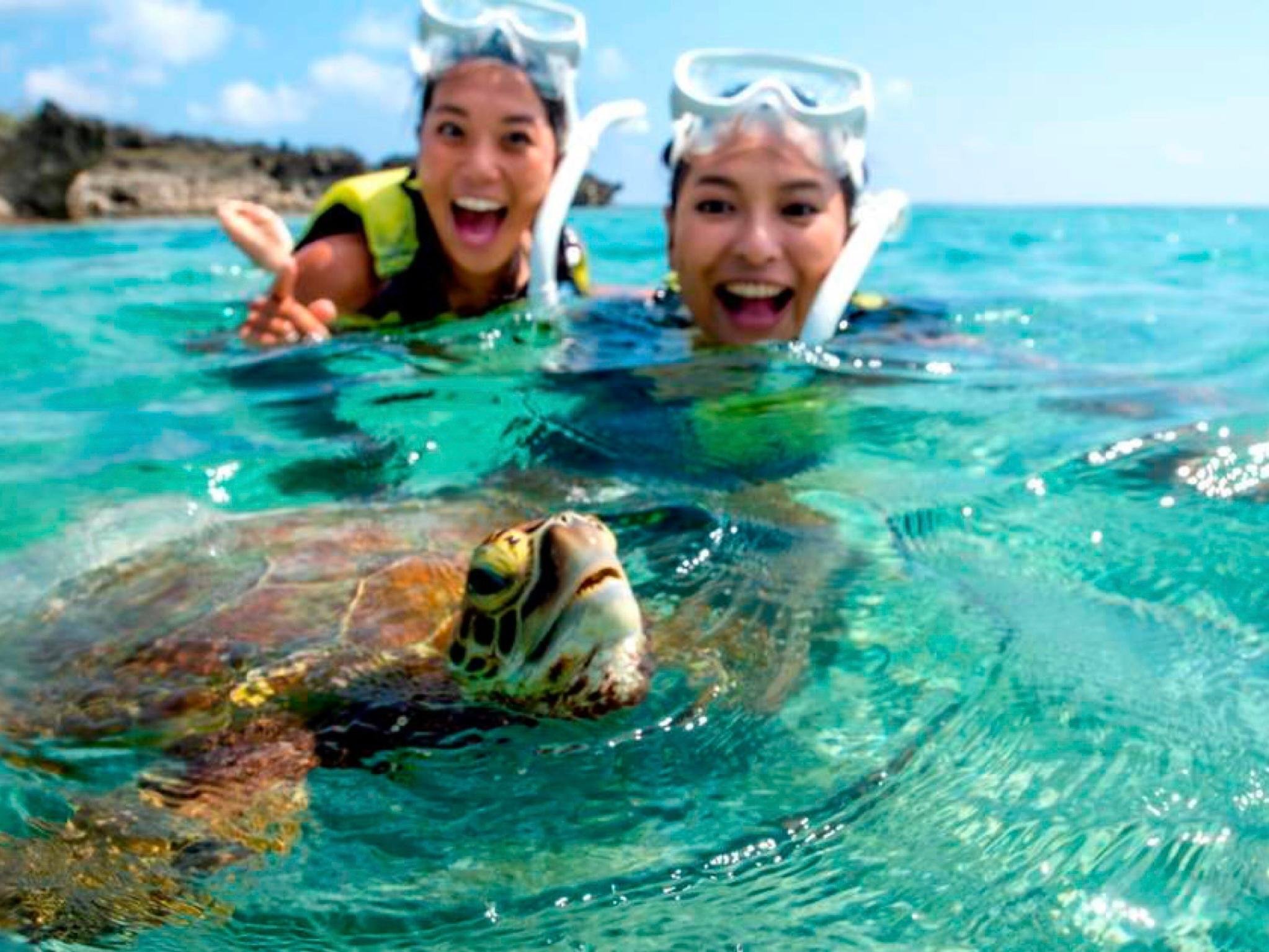 Bali Snorkeling Excursion: Blue Lagoon & Tanjung Jepun