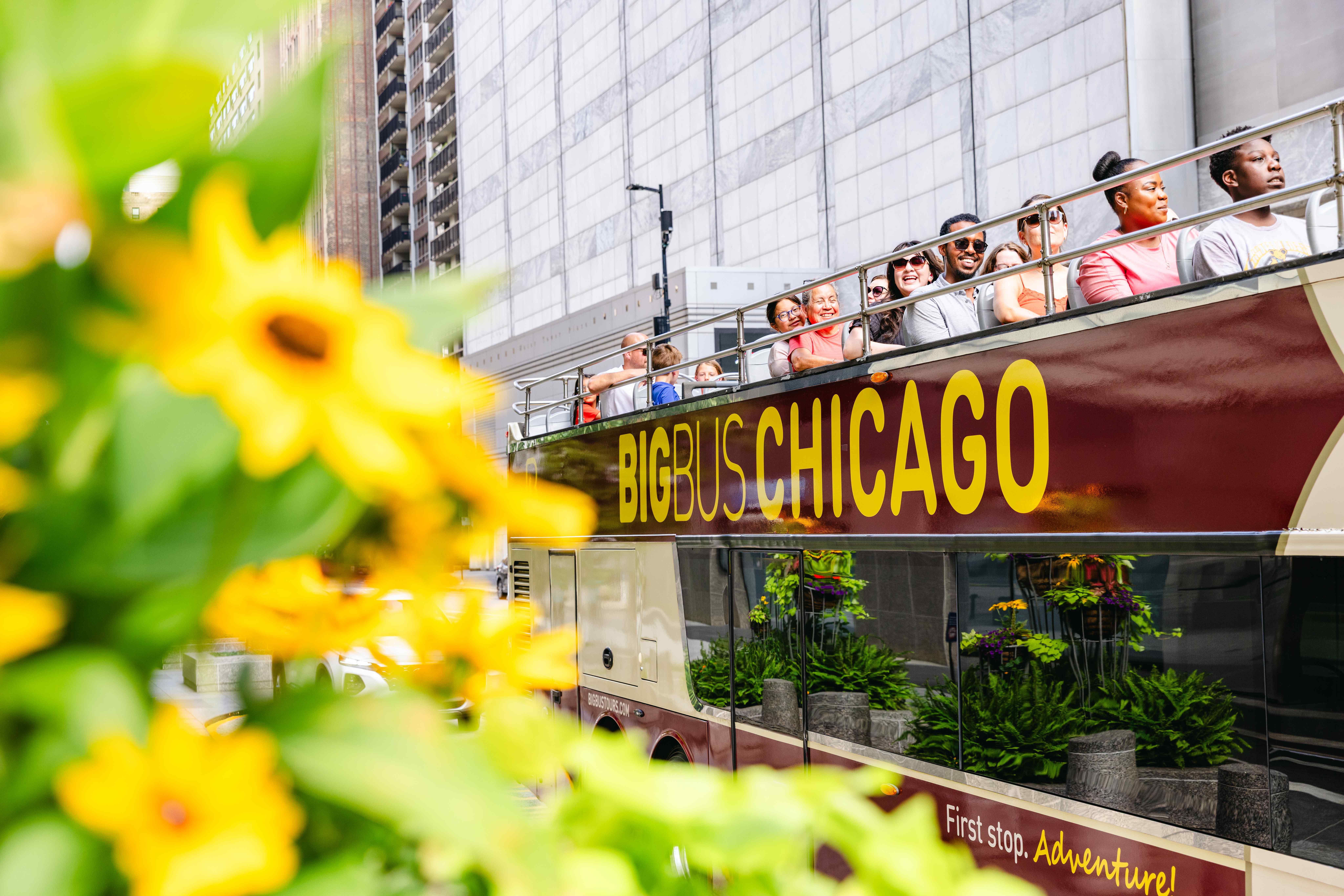 Chicago: Hop-on Hop-off Open-Top Bus Tour