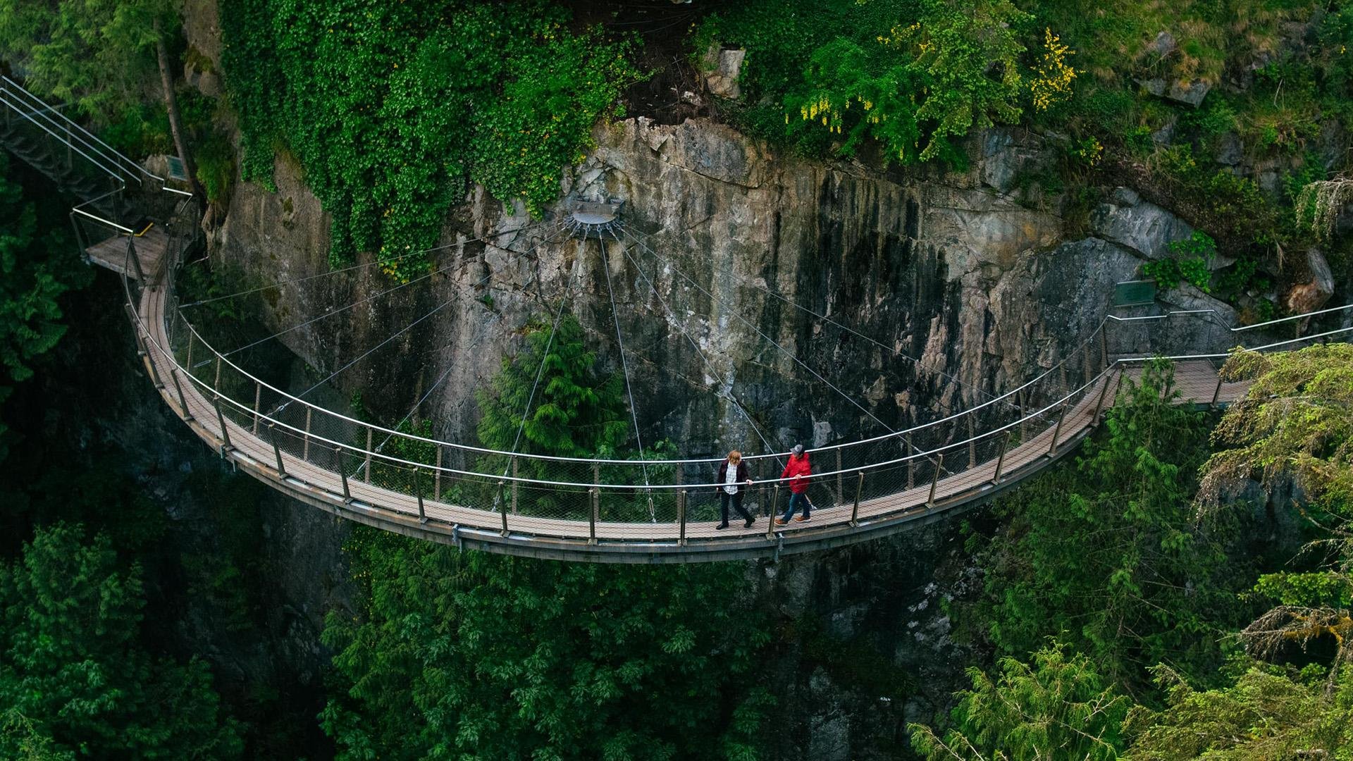 Vancouver North Shore & Capilano Canyon Lights Explorer