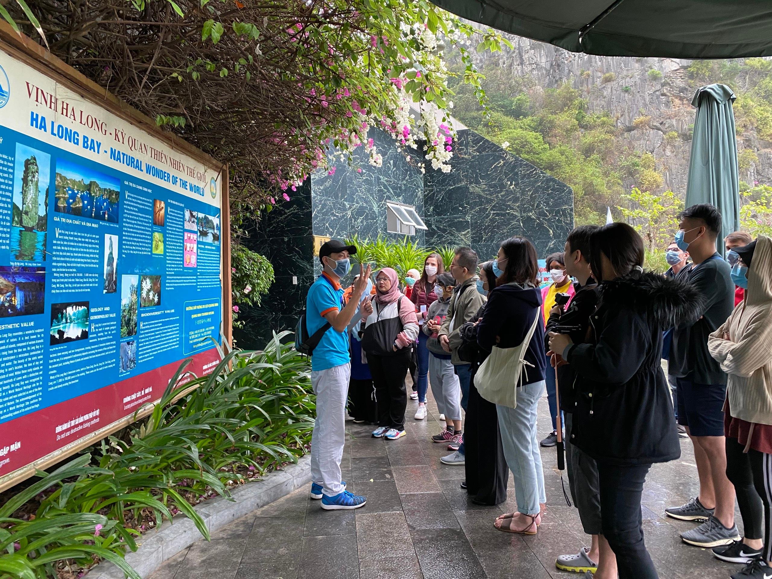 Halong Bay Day Cruise: Caves, Kayaking & Seafood Lunch