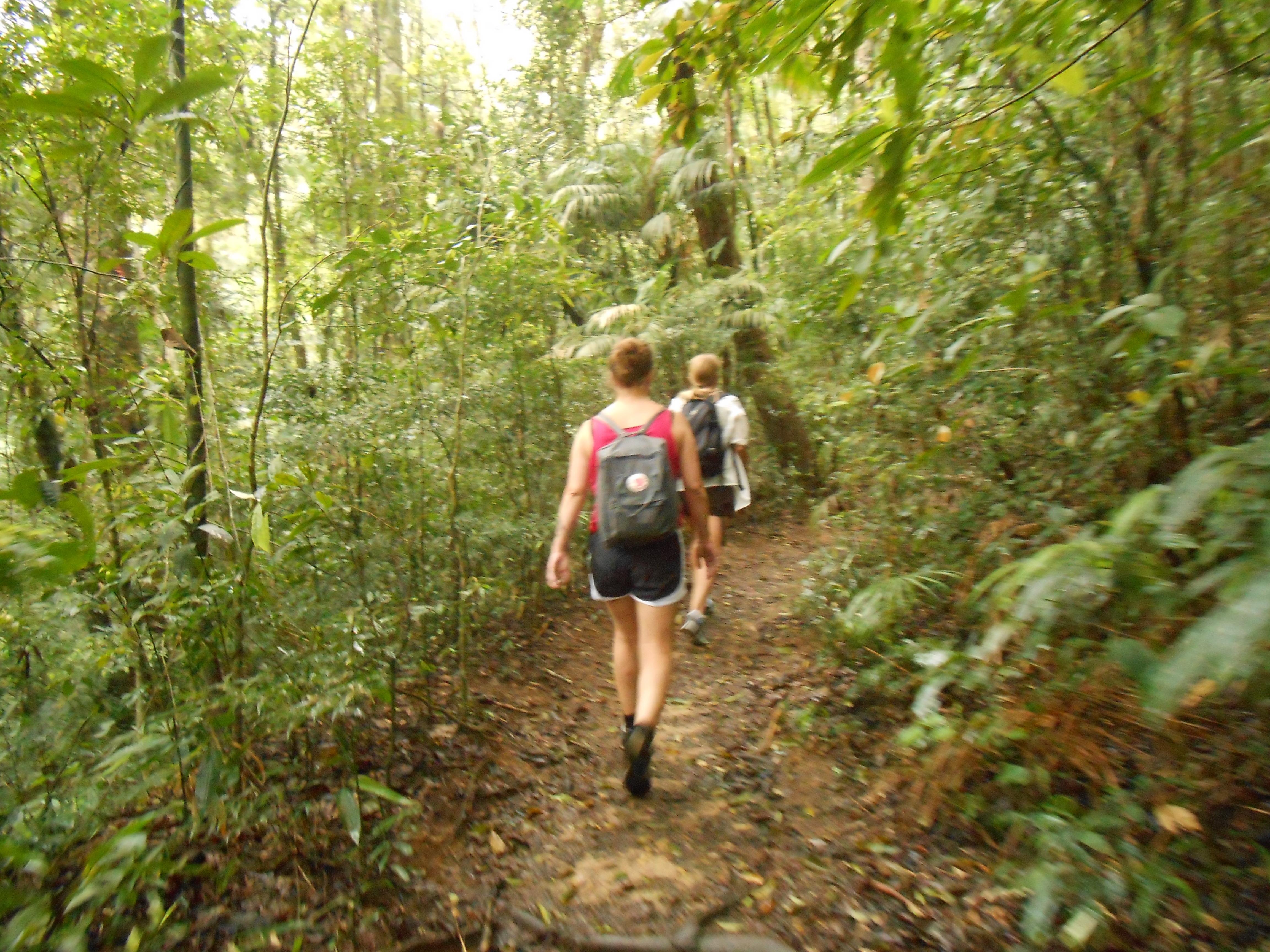 Christ the Redeemer Guided Forest Hike