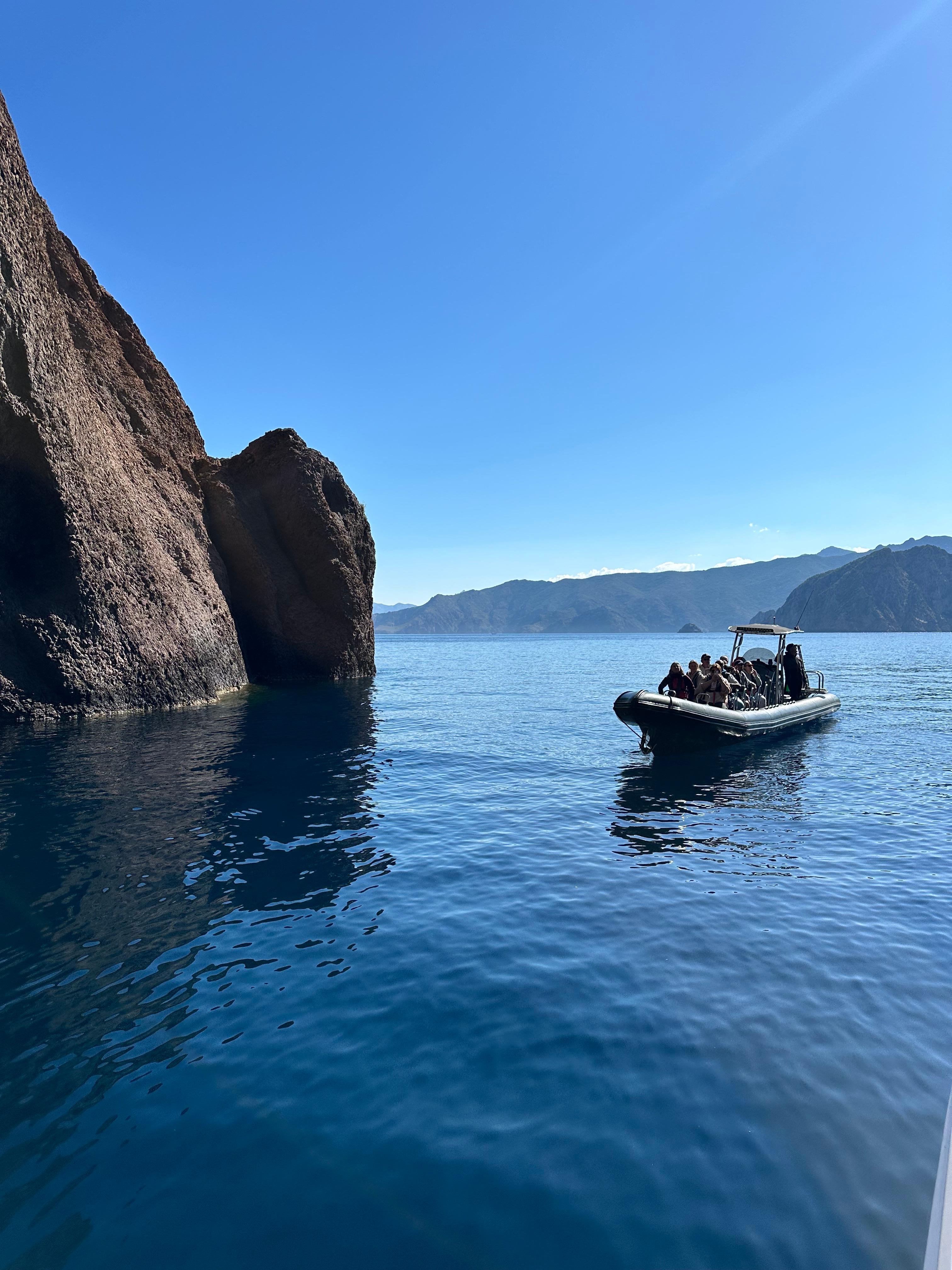 Scandola Reserve & Hidden Caves Boat Expedition