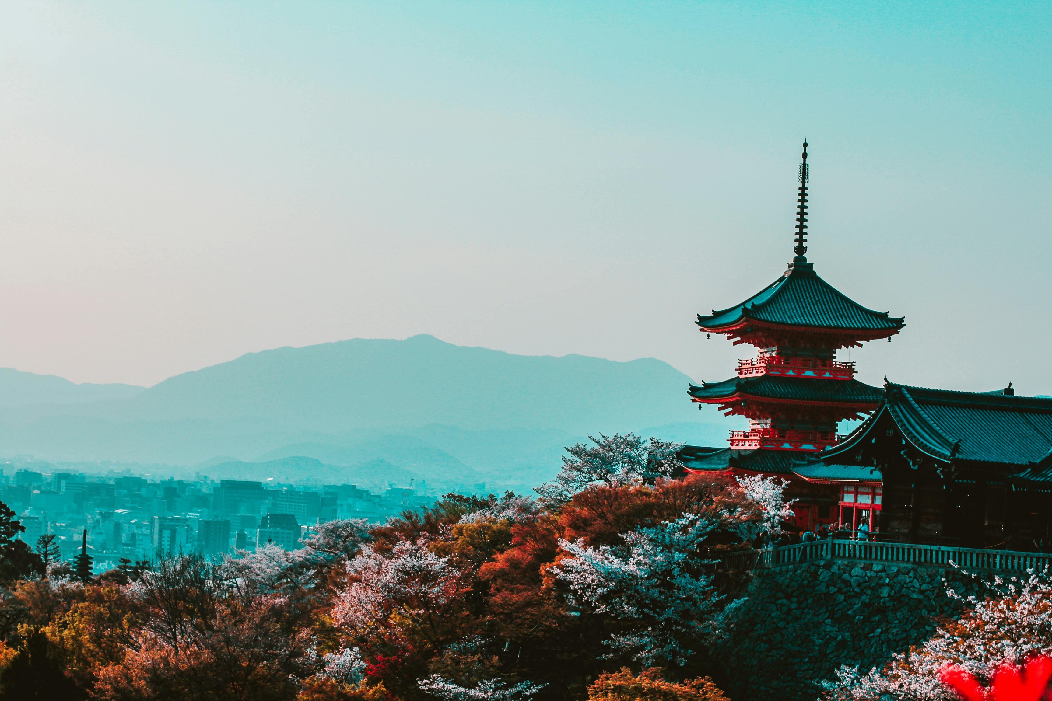 Privat tilpasset rundtur i Kyoto med luksuskjøretøy og guide