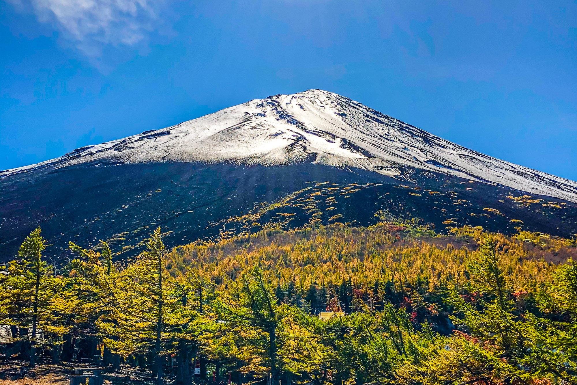 Mt. Fuji & Hakone Day Trip with Bullet Train Return