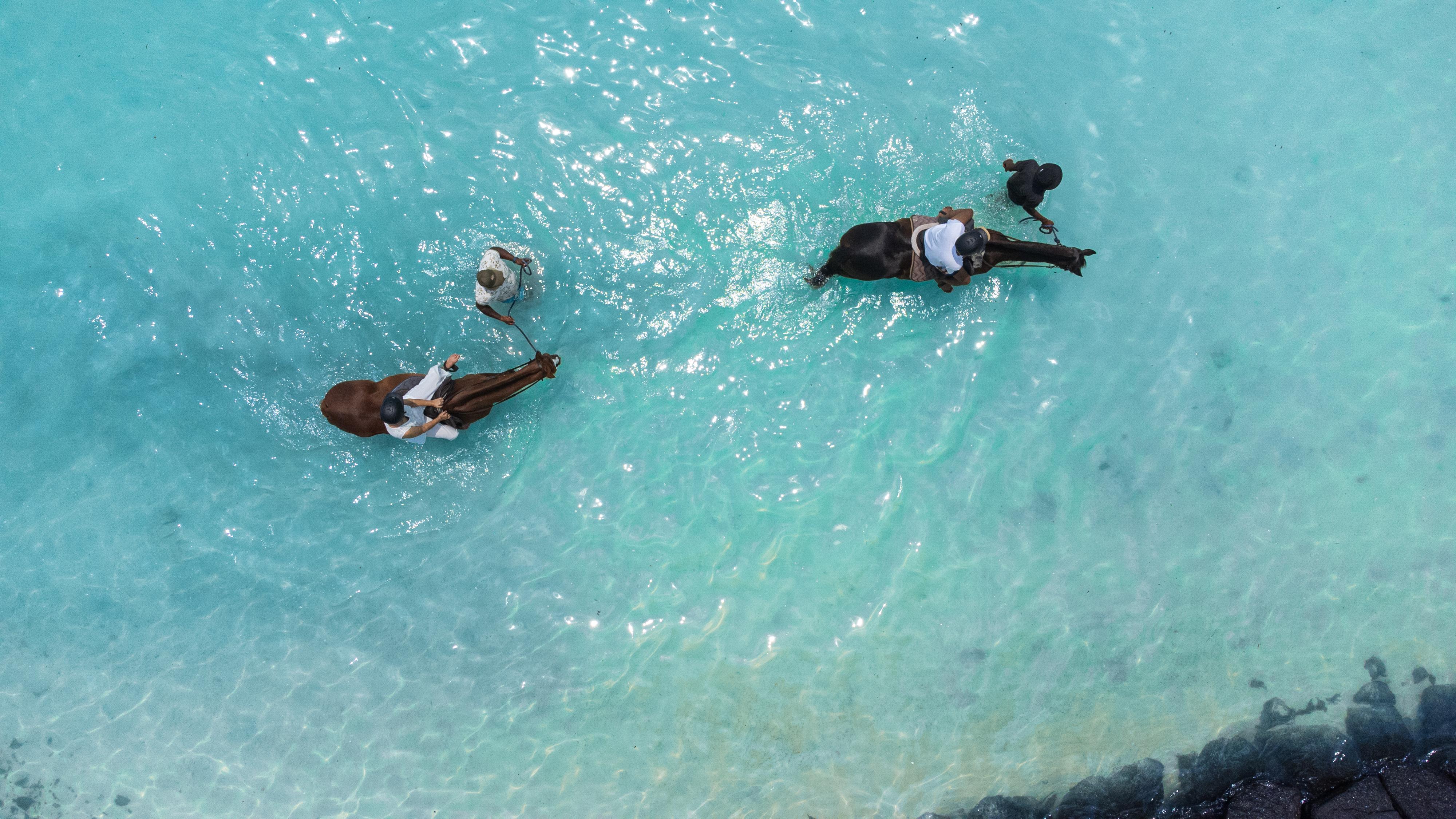 Belle Mare Beach Horseback Ride