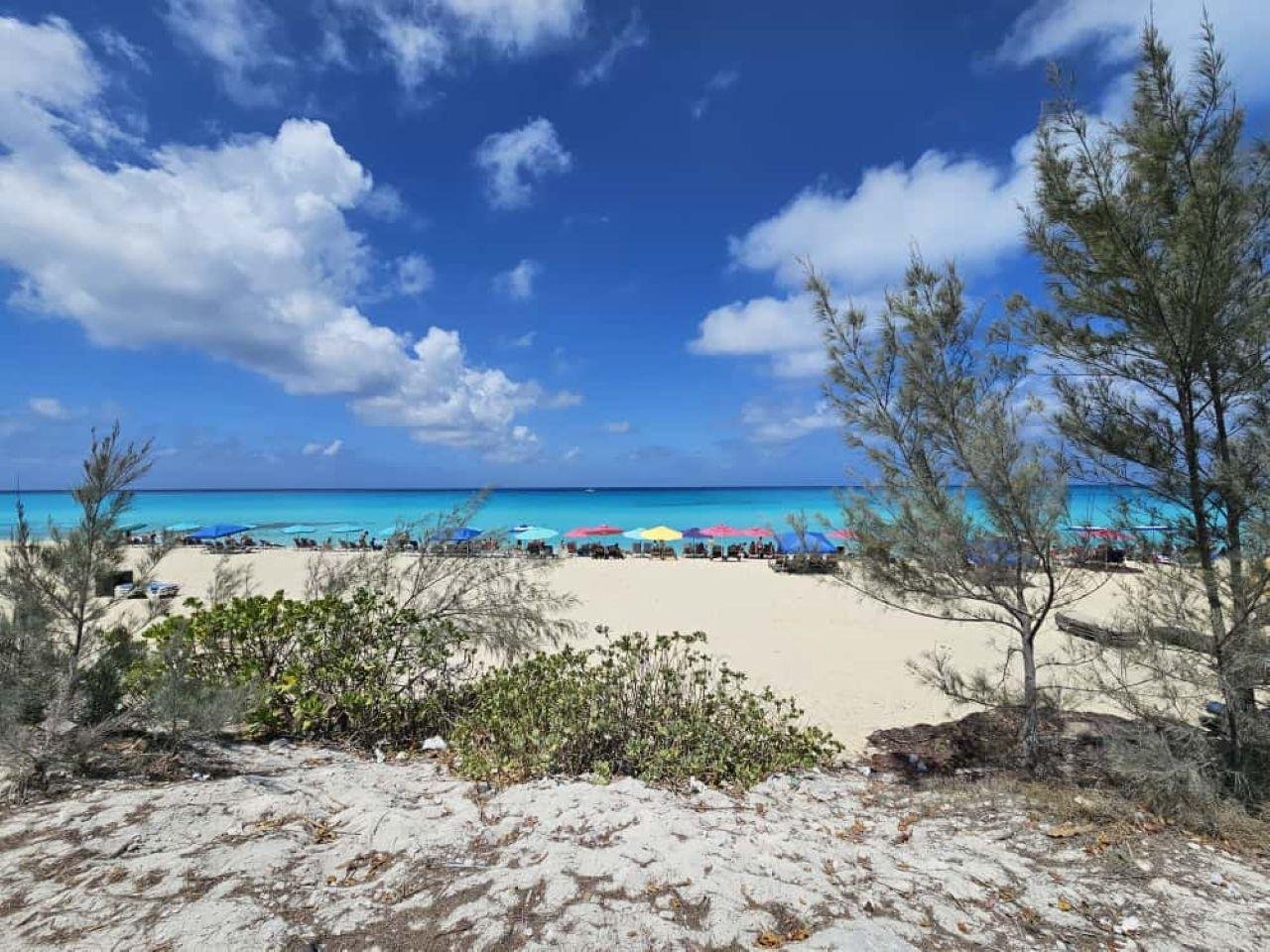 Bimini Island Express: Roundtrip Ferry & Miami Transfers