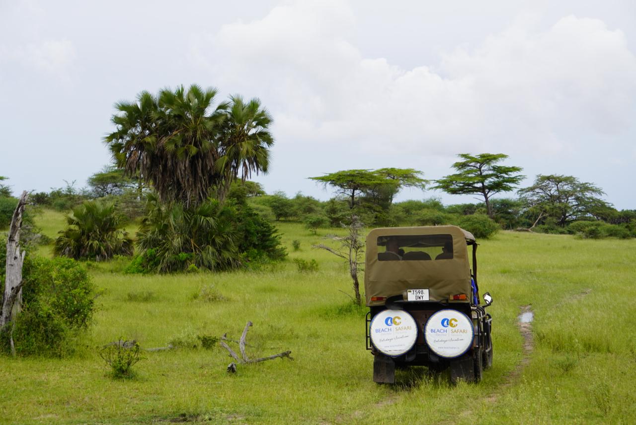 Zanzibar to Selous: Full-Day Safari with Bush Lunch (+ 2-Day Option)