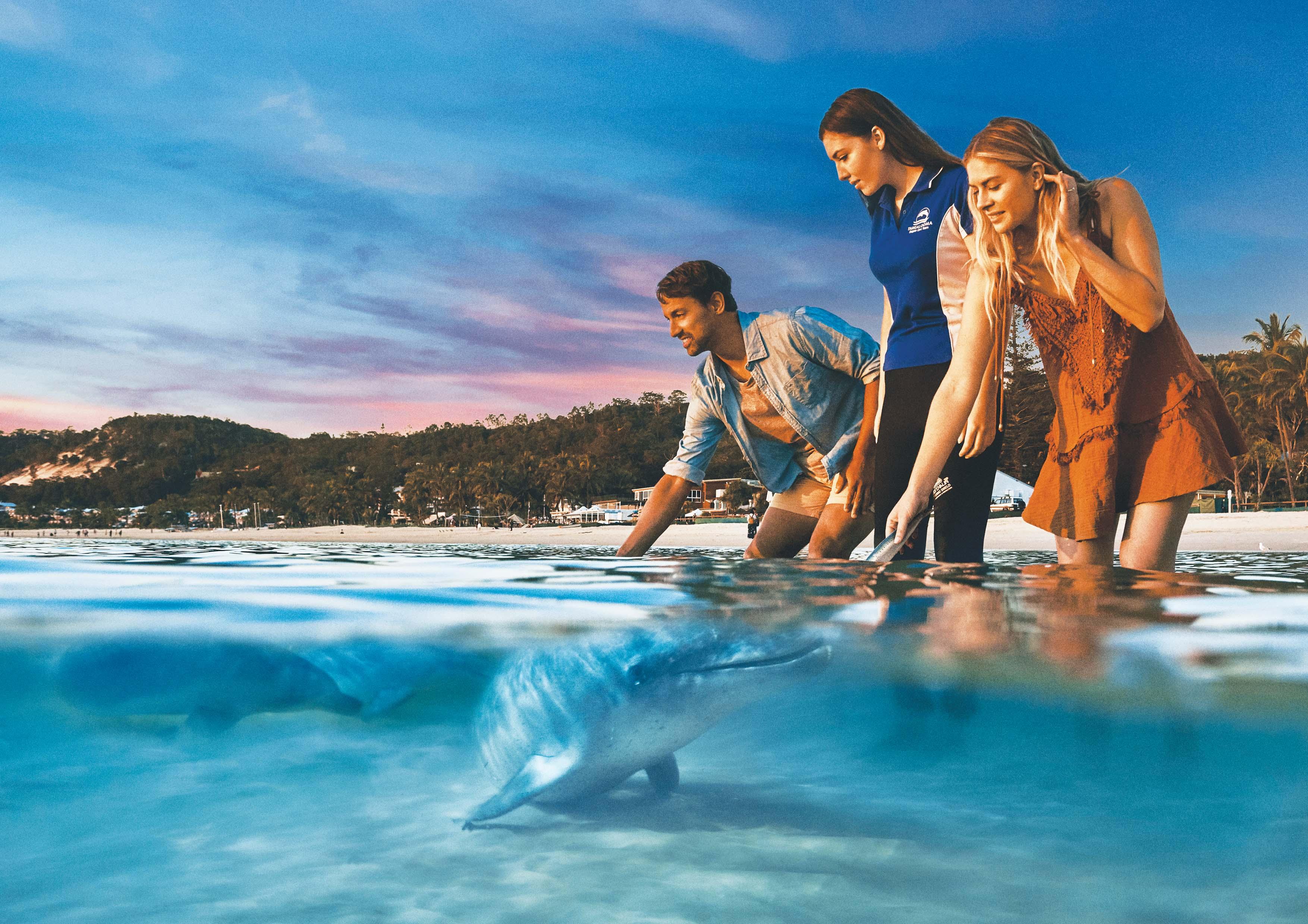 Moreton Island Day Trip: ATV Quad Biking & Wild Dolphin Feeding