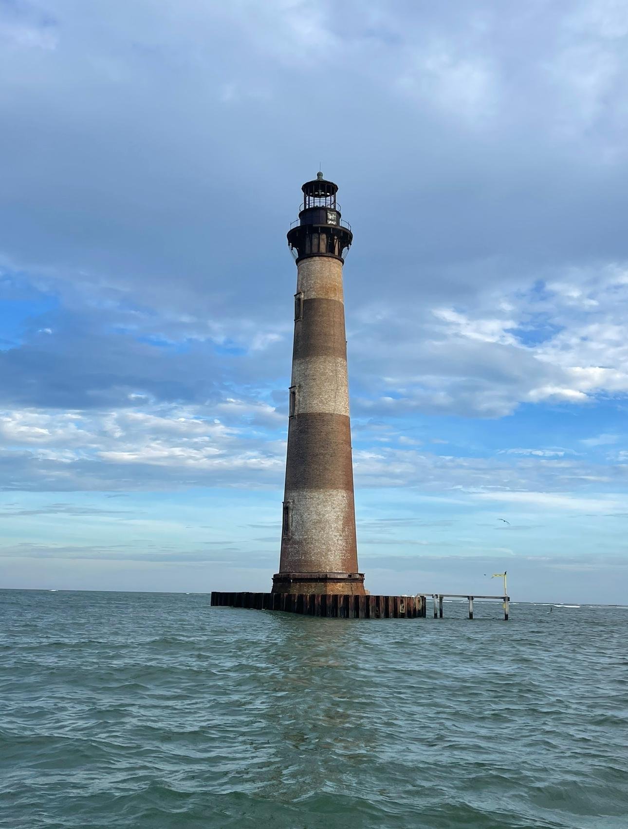 Folly Beach Sunset Dolphin & Morris Island Tour