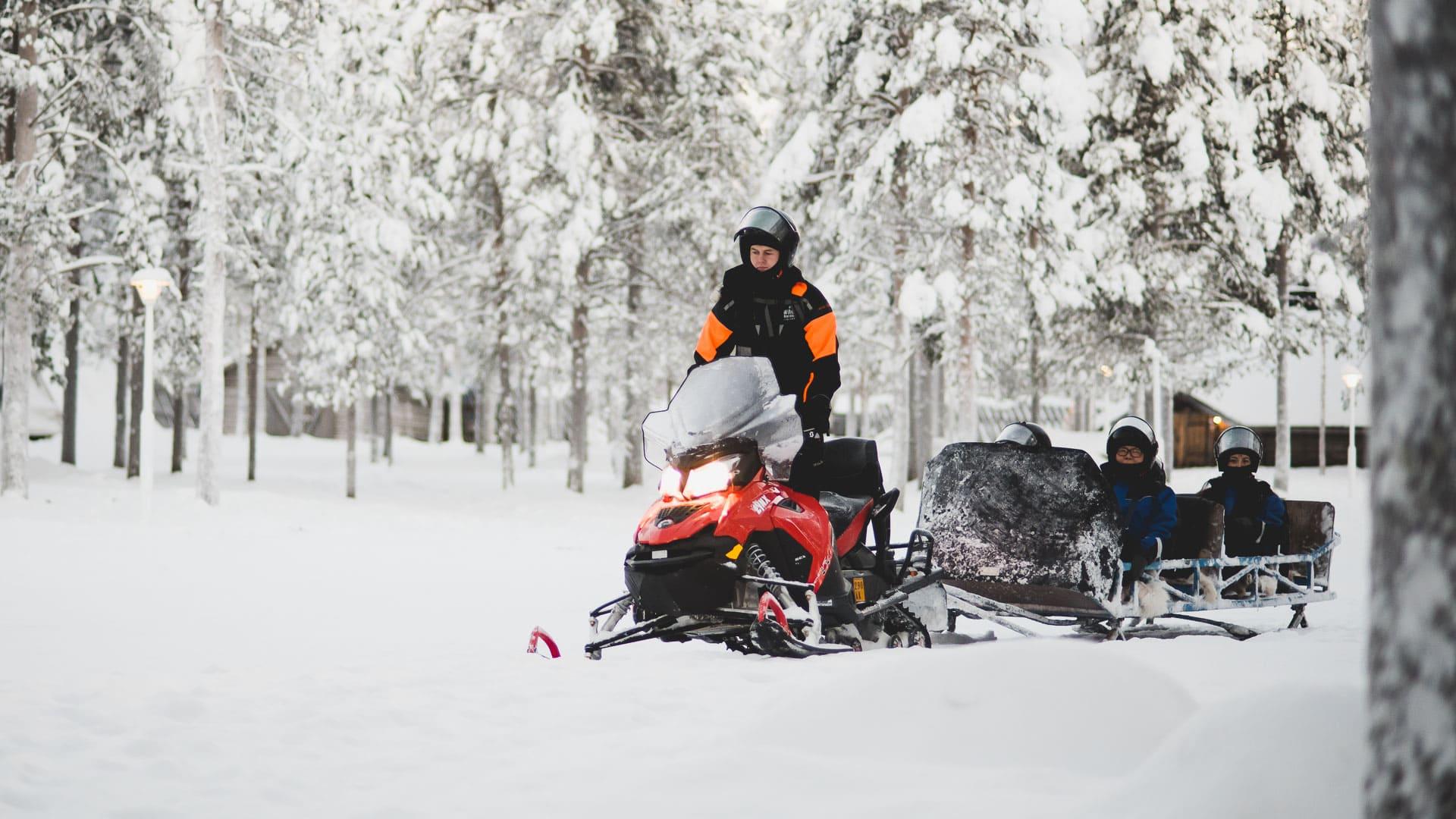 Rovaniemi Arctic Forest Snowmobile Safari